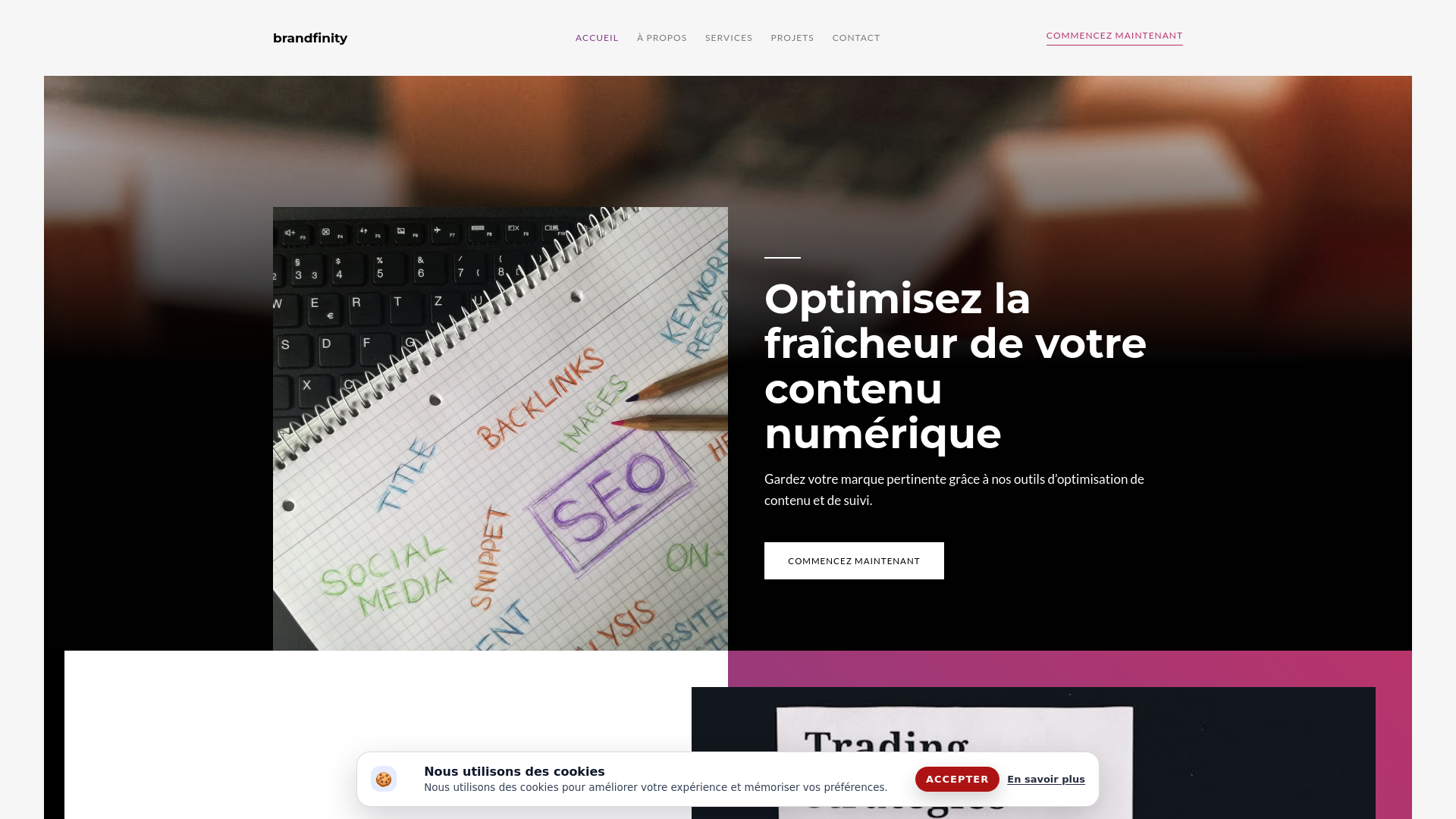 website screenshot of https://brandfinity.company/