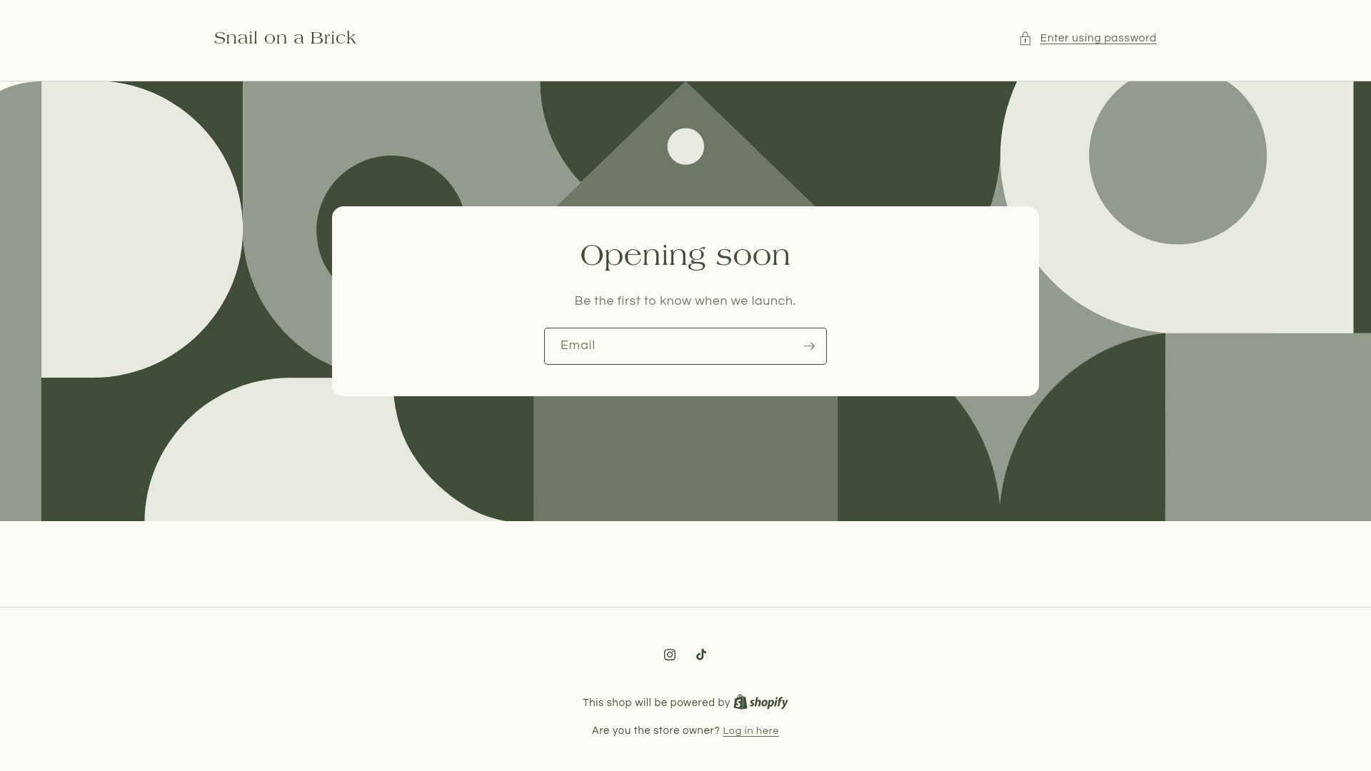 website screenshot of https://snailonabrick.com/