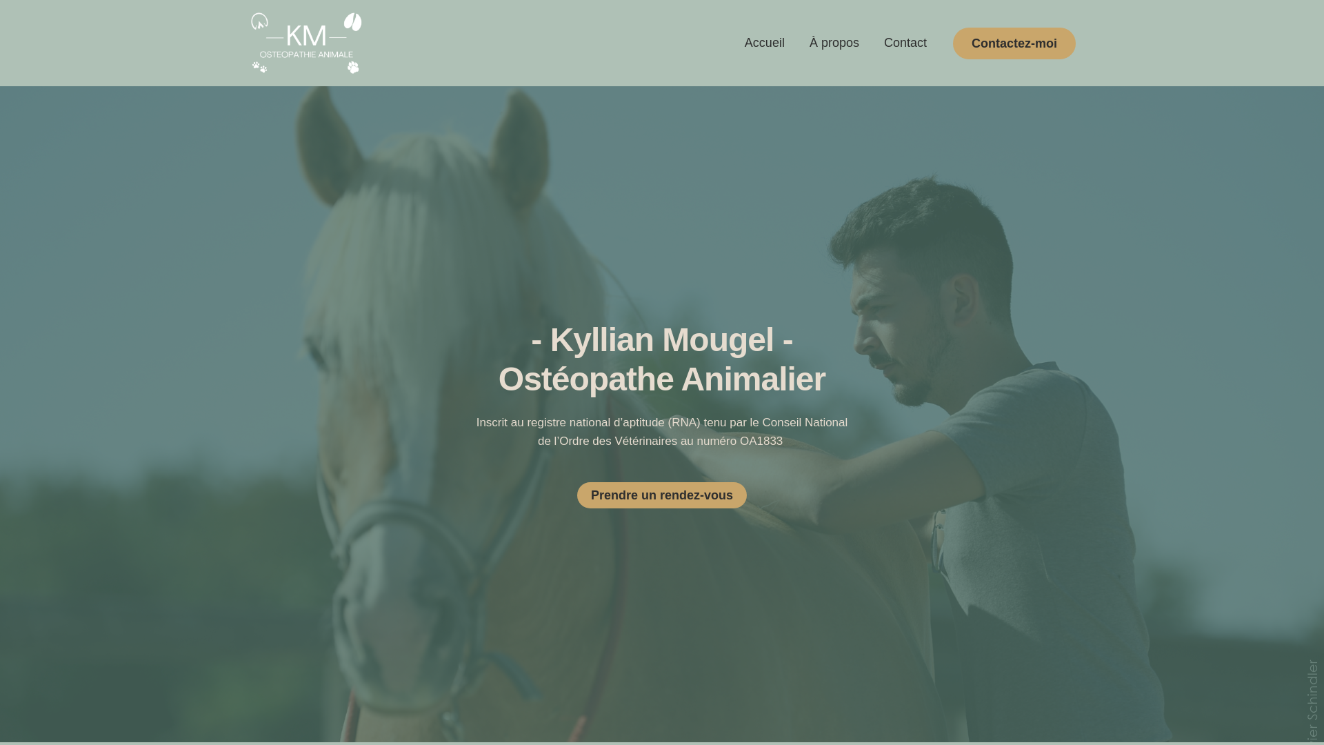 website screenshot of https://kmosteoanimal.fr