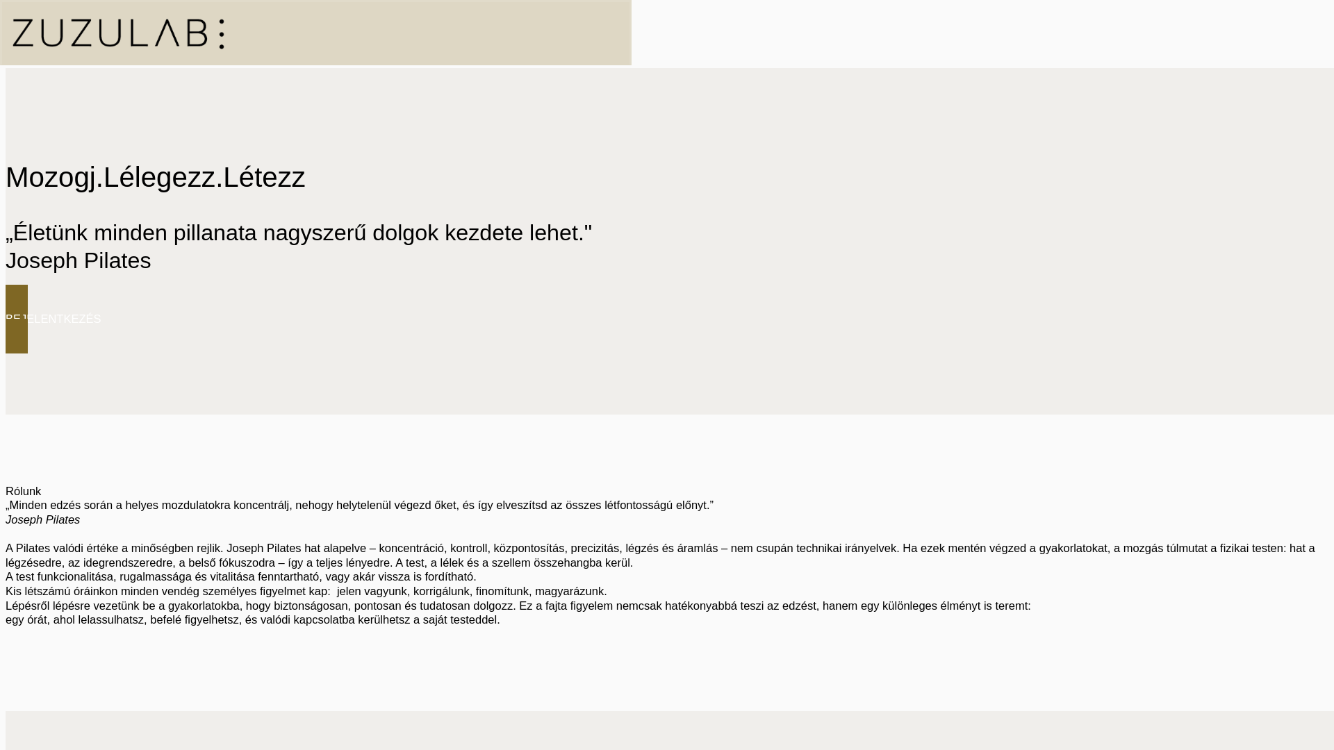 website screenshot of https://zuzulabpilates.com/