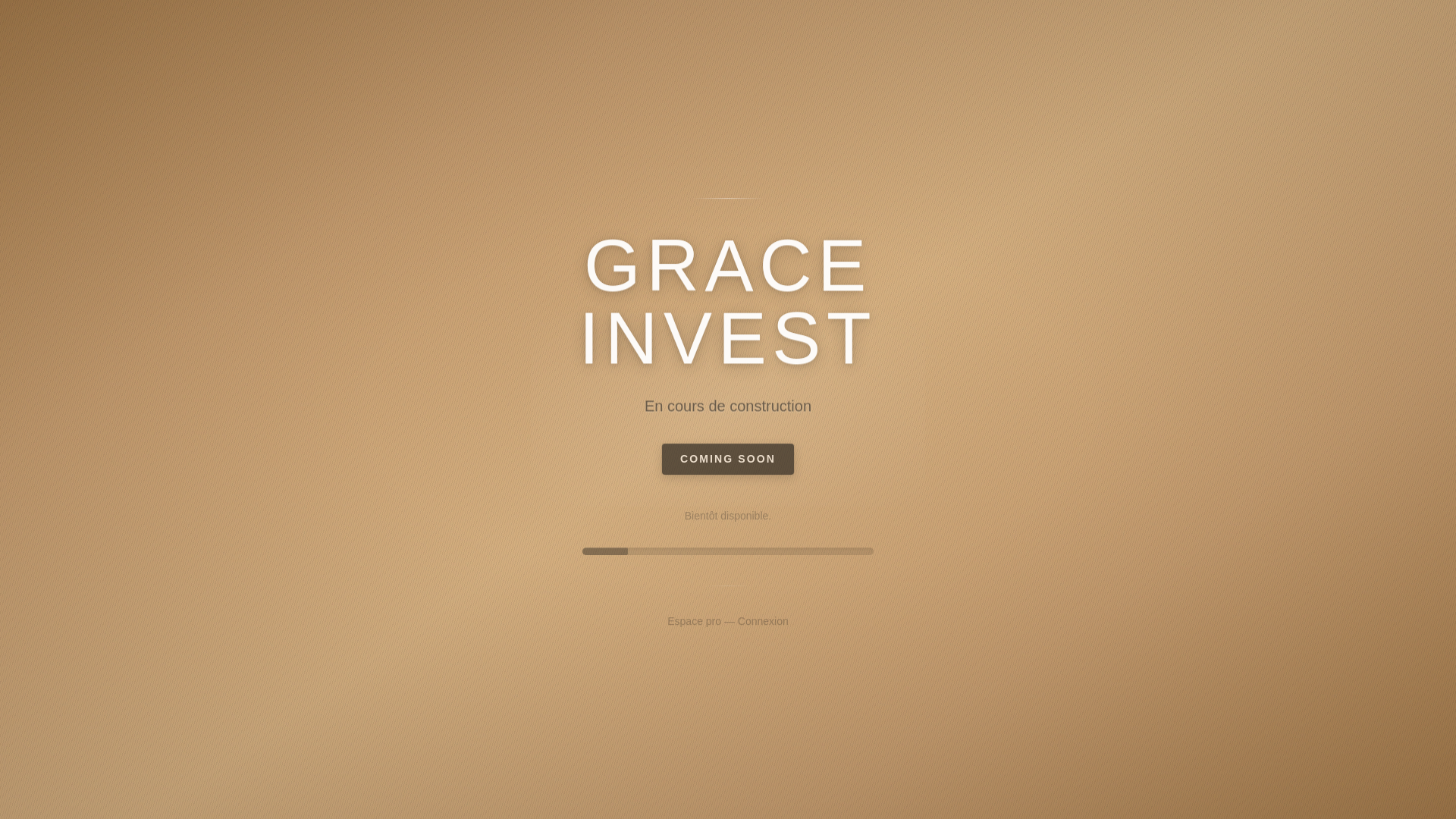 website screenshot of https://graceinvest.org/