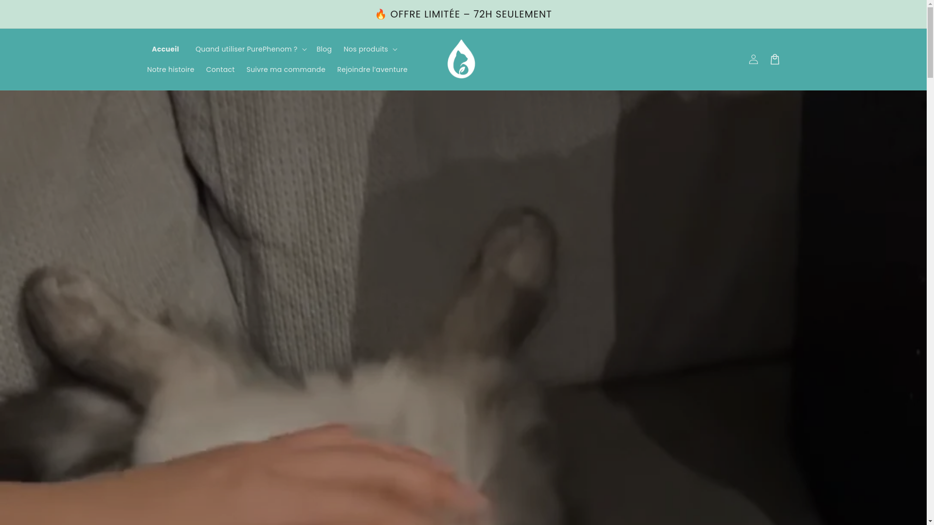 website screenshot of https://thepurephenom.com/