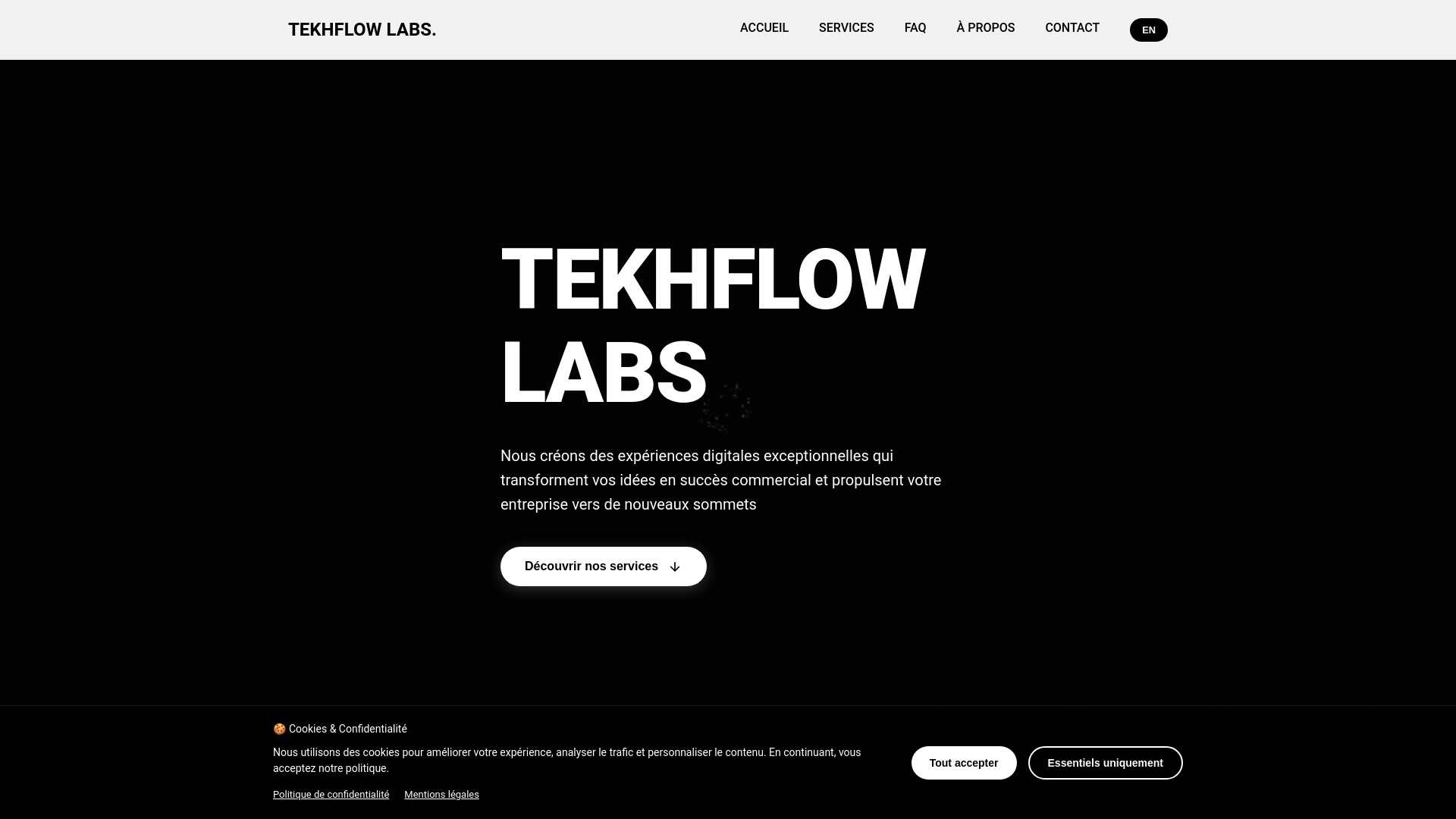 website screenshot of https://tekhflow.com