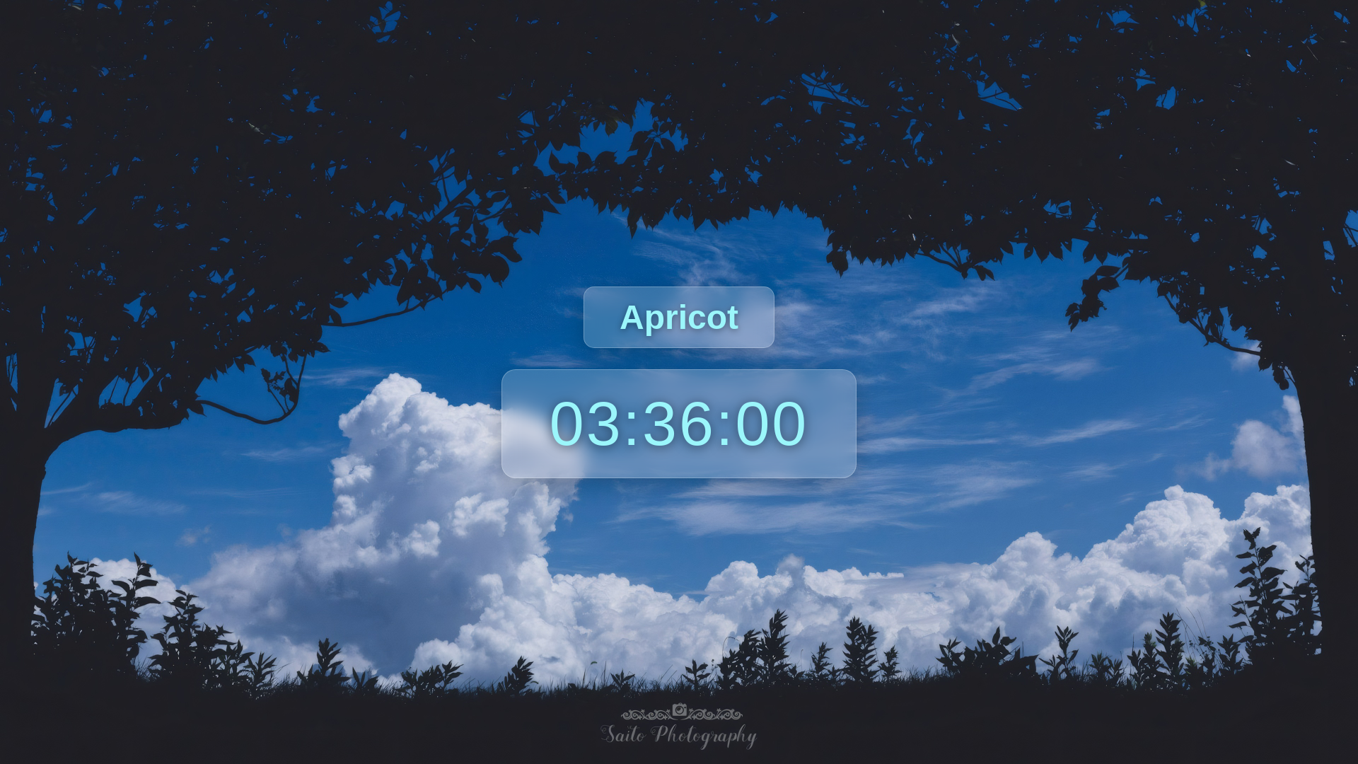 website screenshot of https://apricot-39h.pages.dev/