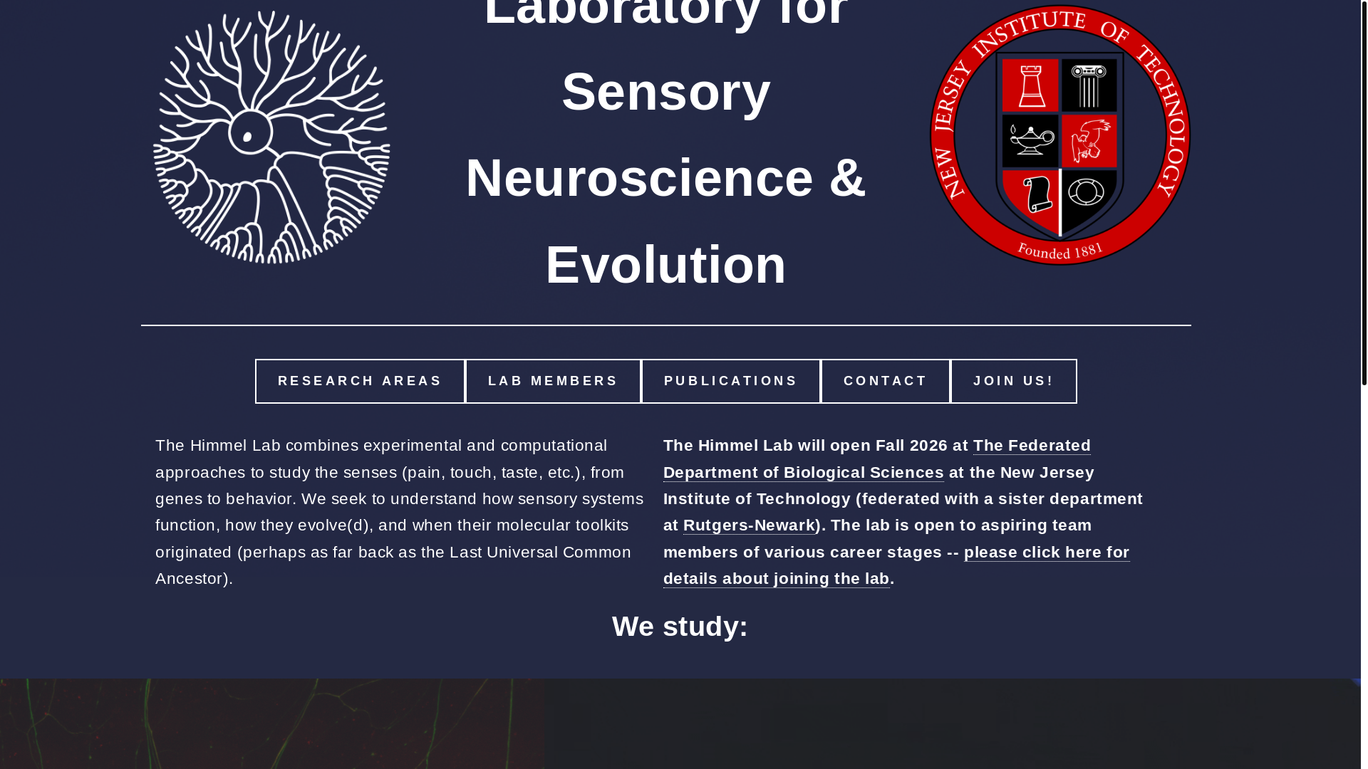website screenshot of https://natehimmel-github-io.pages.dev/