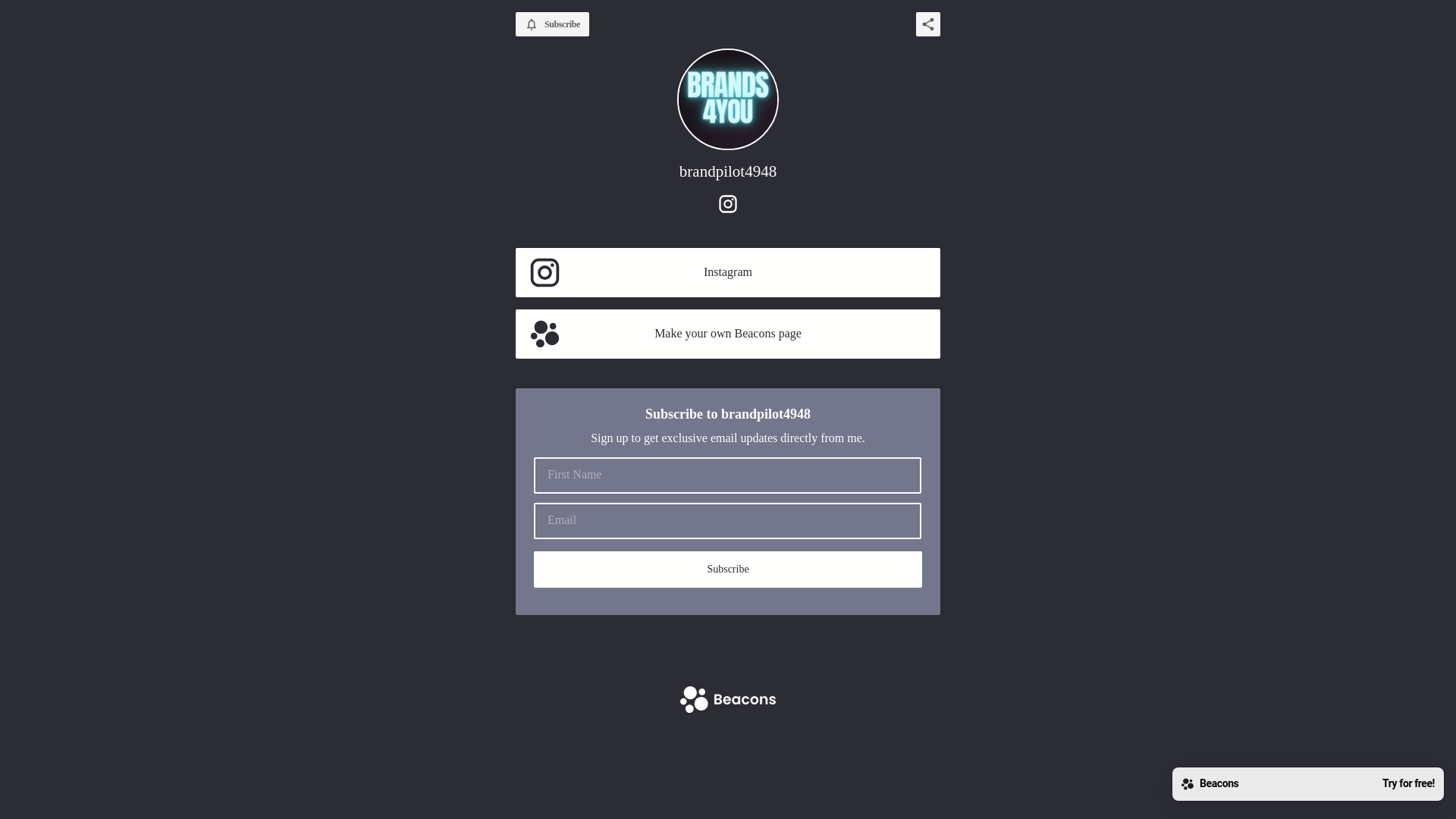 website screenshot of https://brandpilot4948.com/