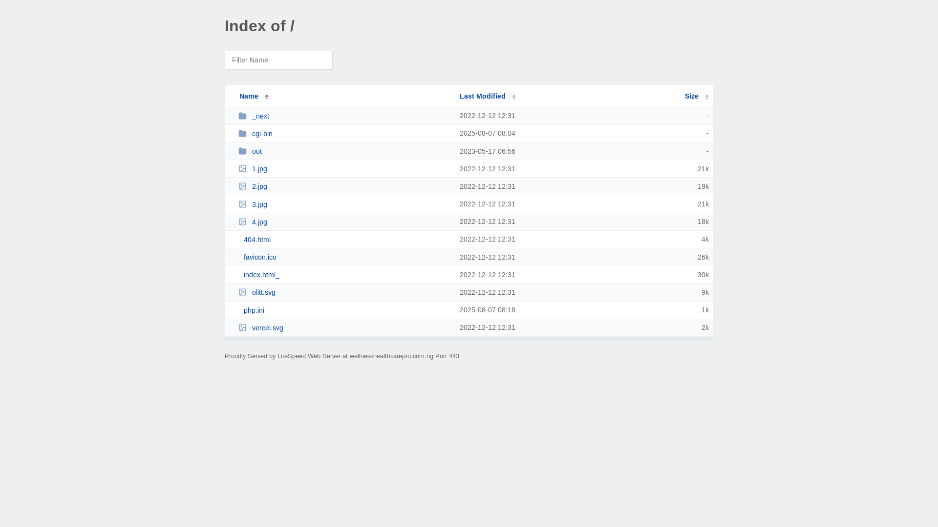 website screenshot of https://wellnesshealthcarepro.com.ng/