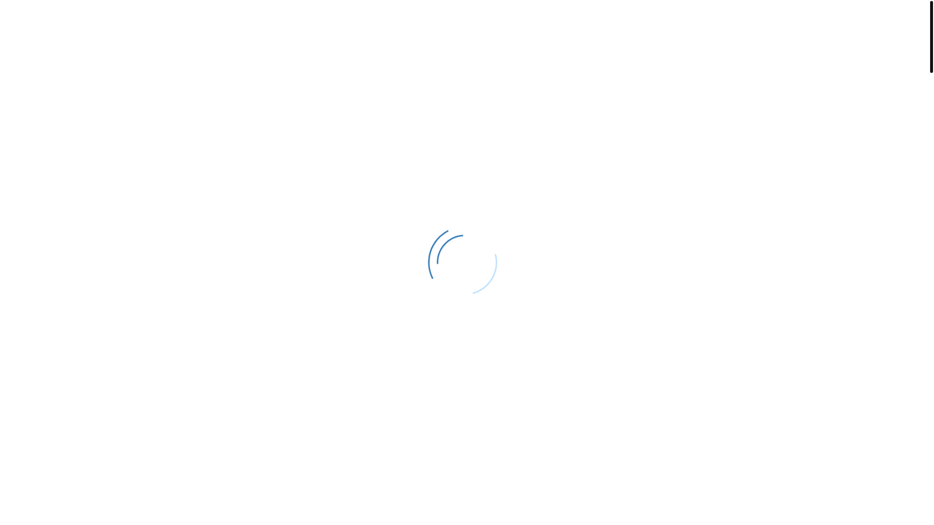 website screenshot of https://medspravkii-ems.xyz/