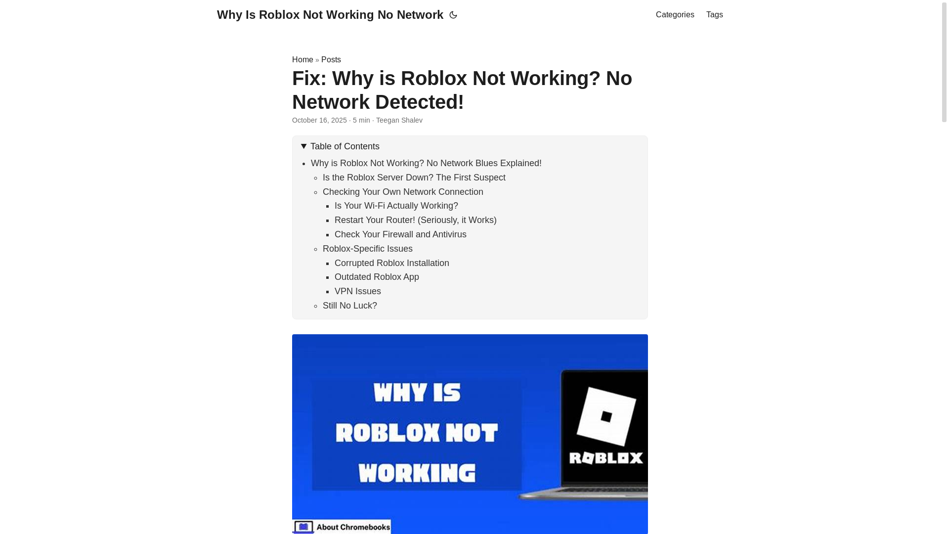 website screenshot of https://why-is-roblox-not-working-no-network.pages.dev/