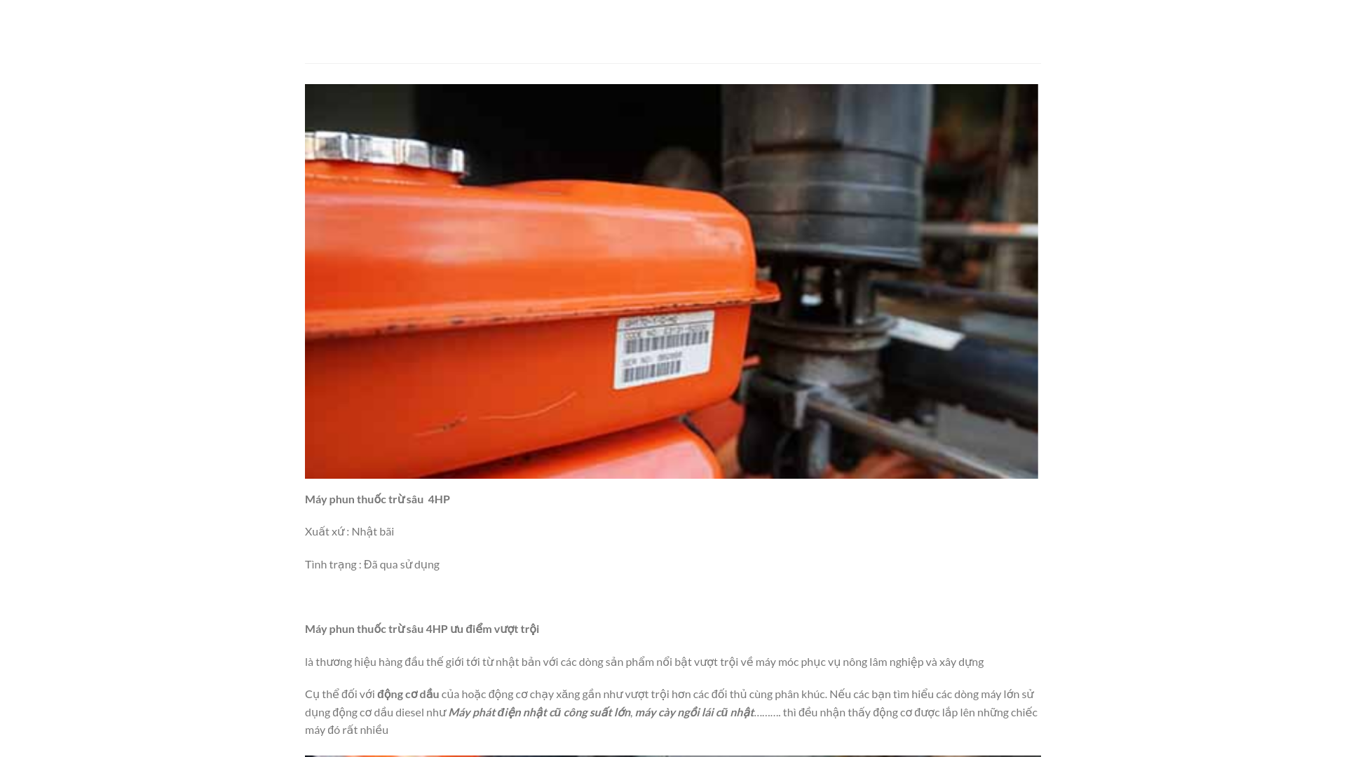 website screenshot of https://dichvulamnhanhchong.com/