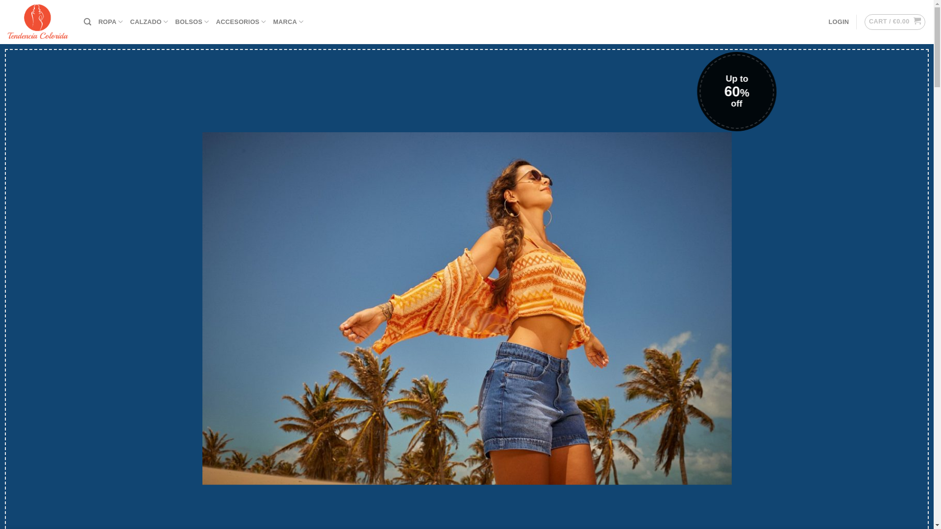 website screenshot of https://tendenciacolorida.com/