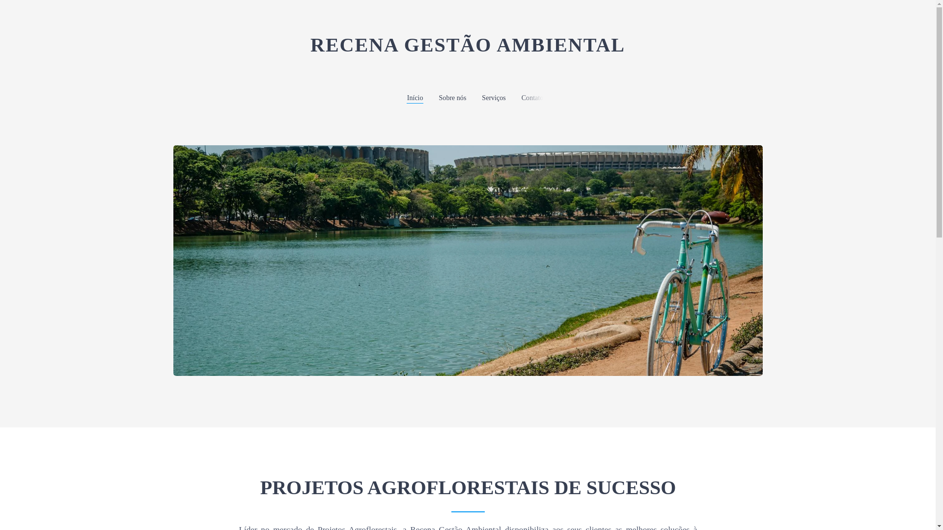 website screenshot of https://recenagestaoambiental.com.br/