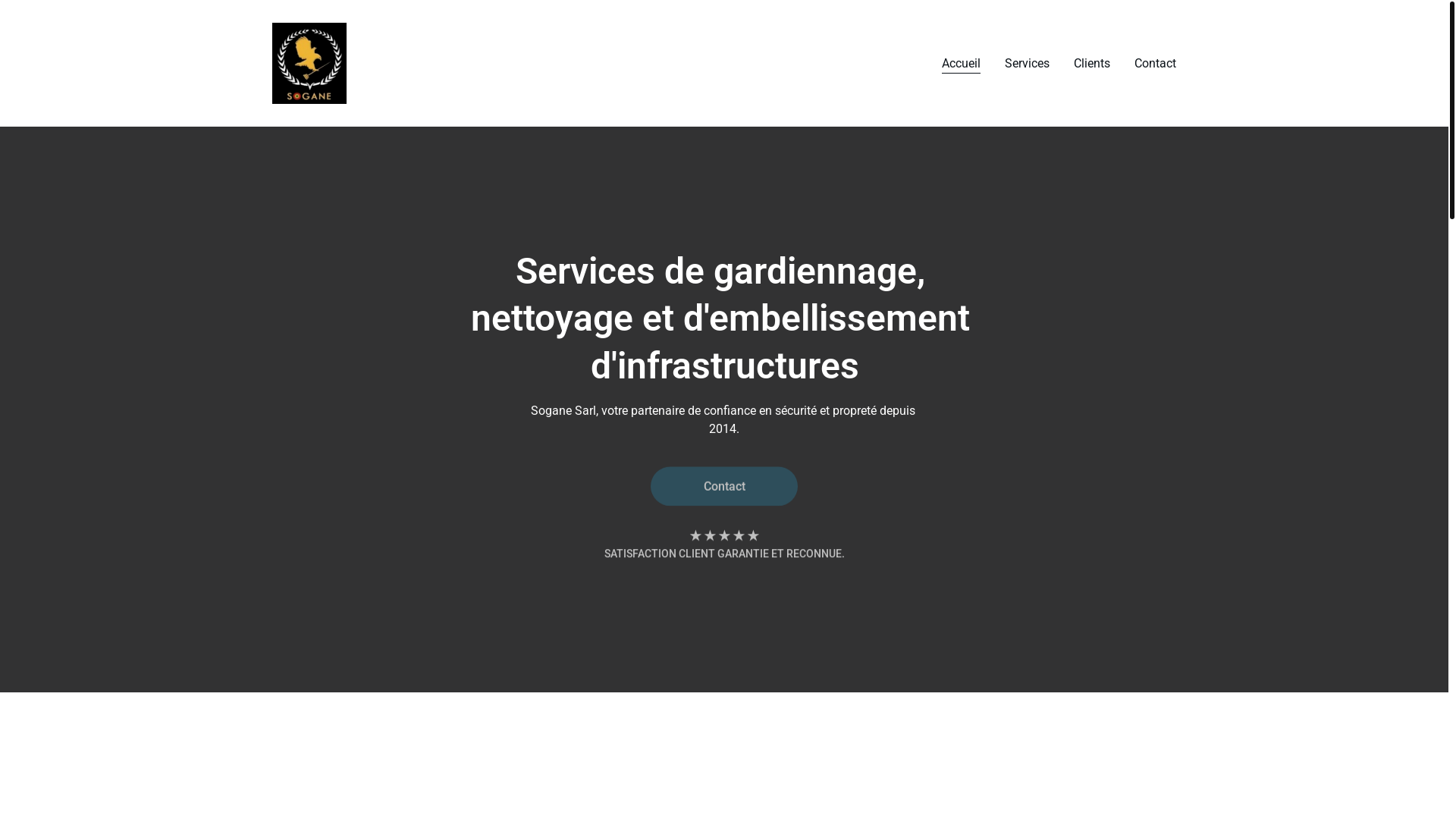 website screenshot of https://soganegn.com/