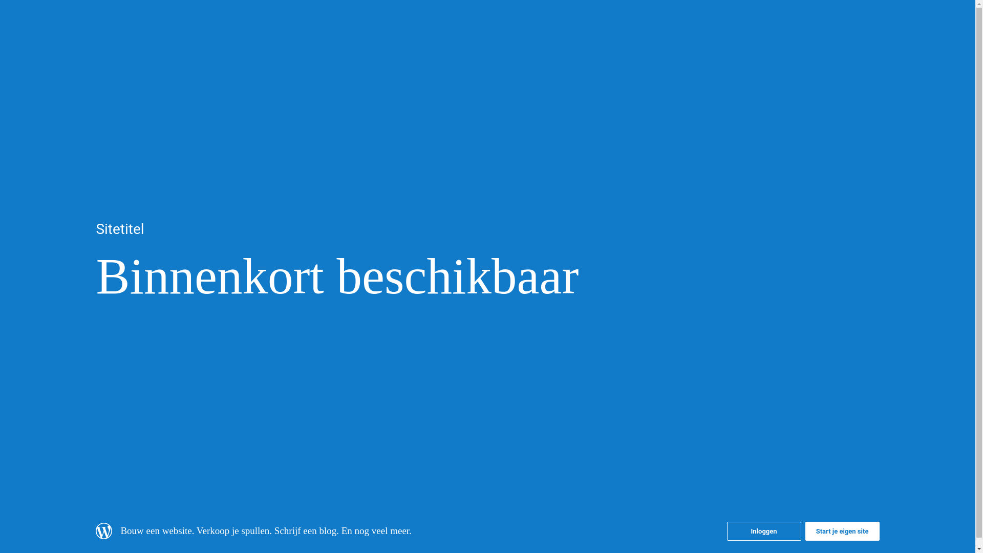 website screenshot of https://brouwerijhetpaleisje.com/