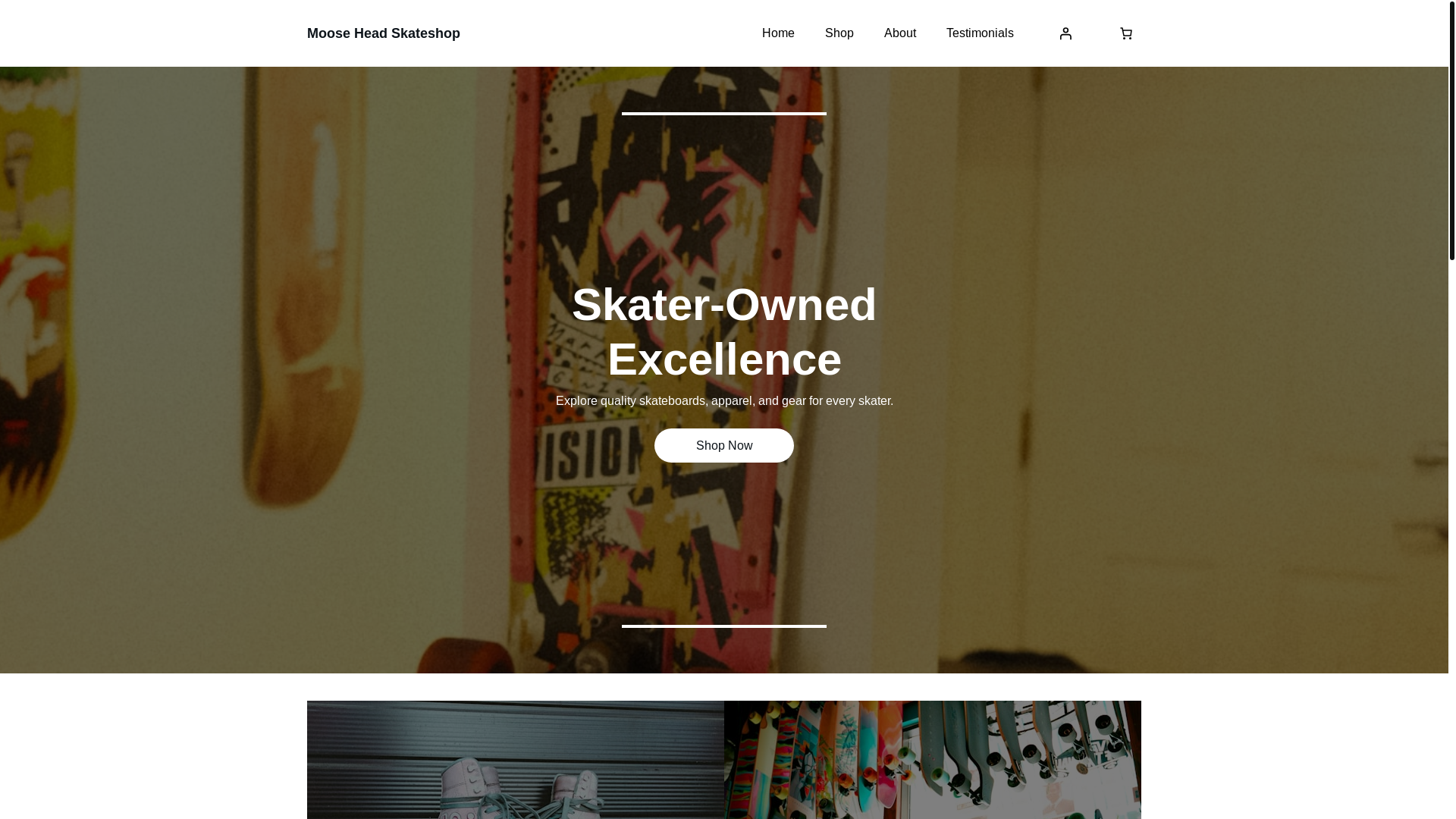 website screenshot of https://mooseheadskateshop.xyz/