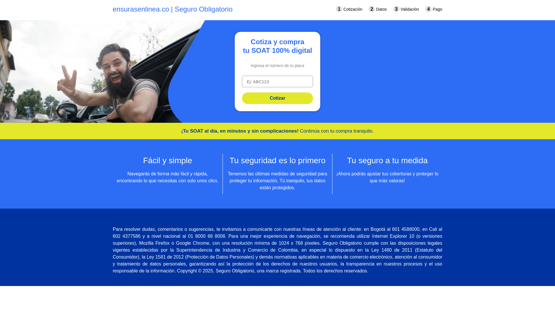 website screenshot of https://ensurasenlinea.co/