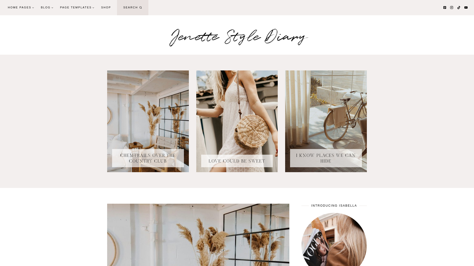 website screenshot of https://jenettestylediary.com/