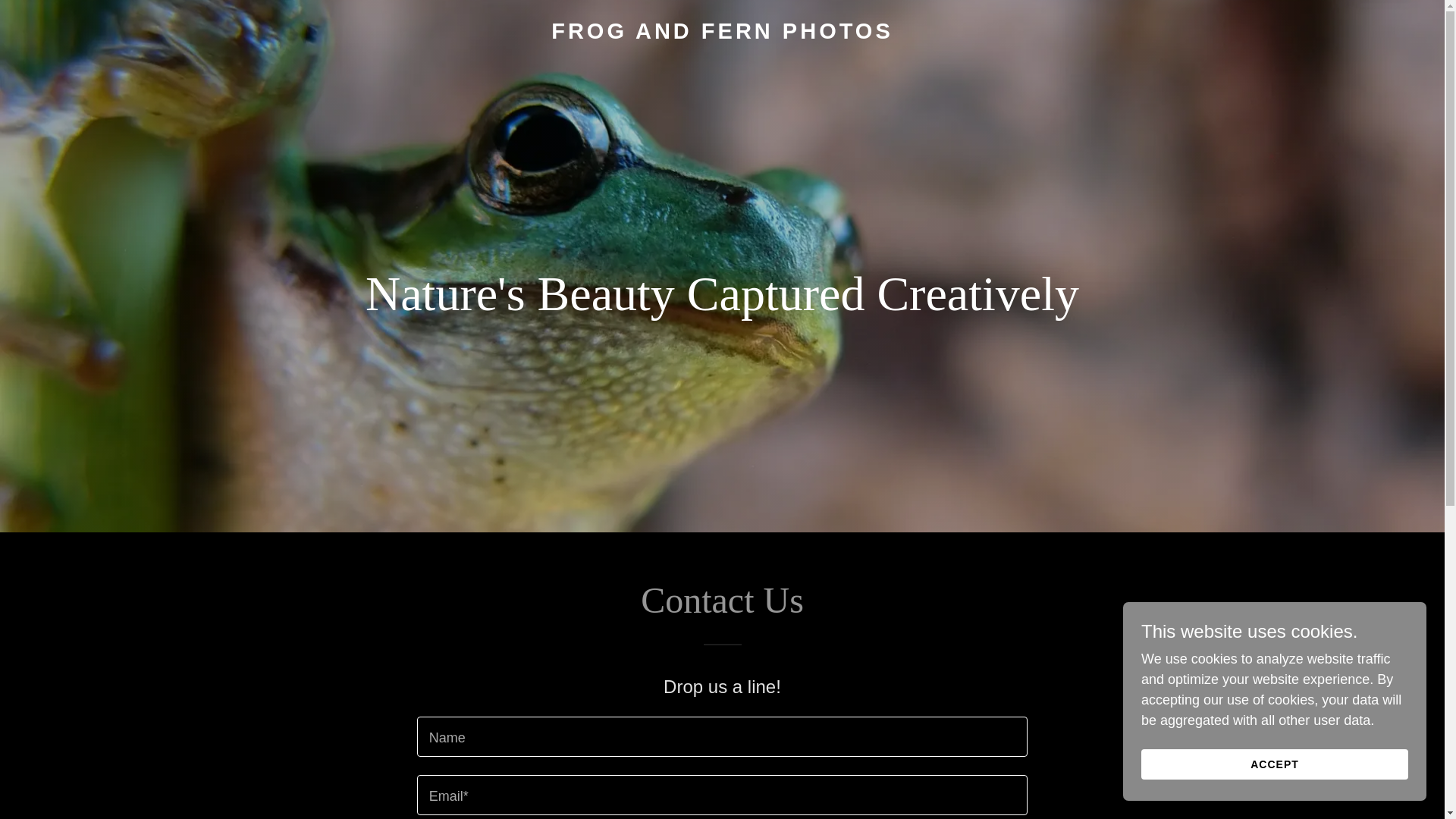 website screenshot of https://frogandfernphotos.com/