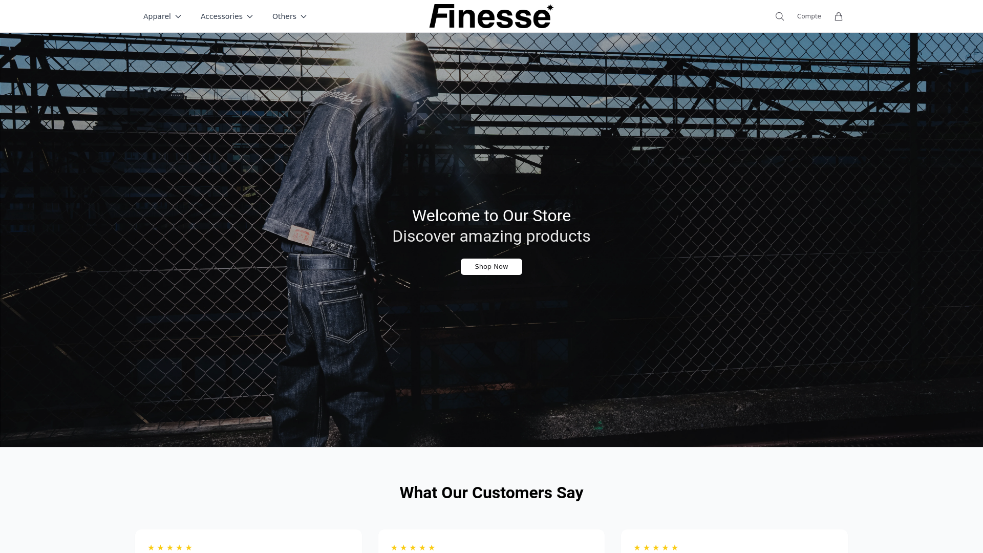 website screenshot of https://finessecollective.shop/