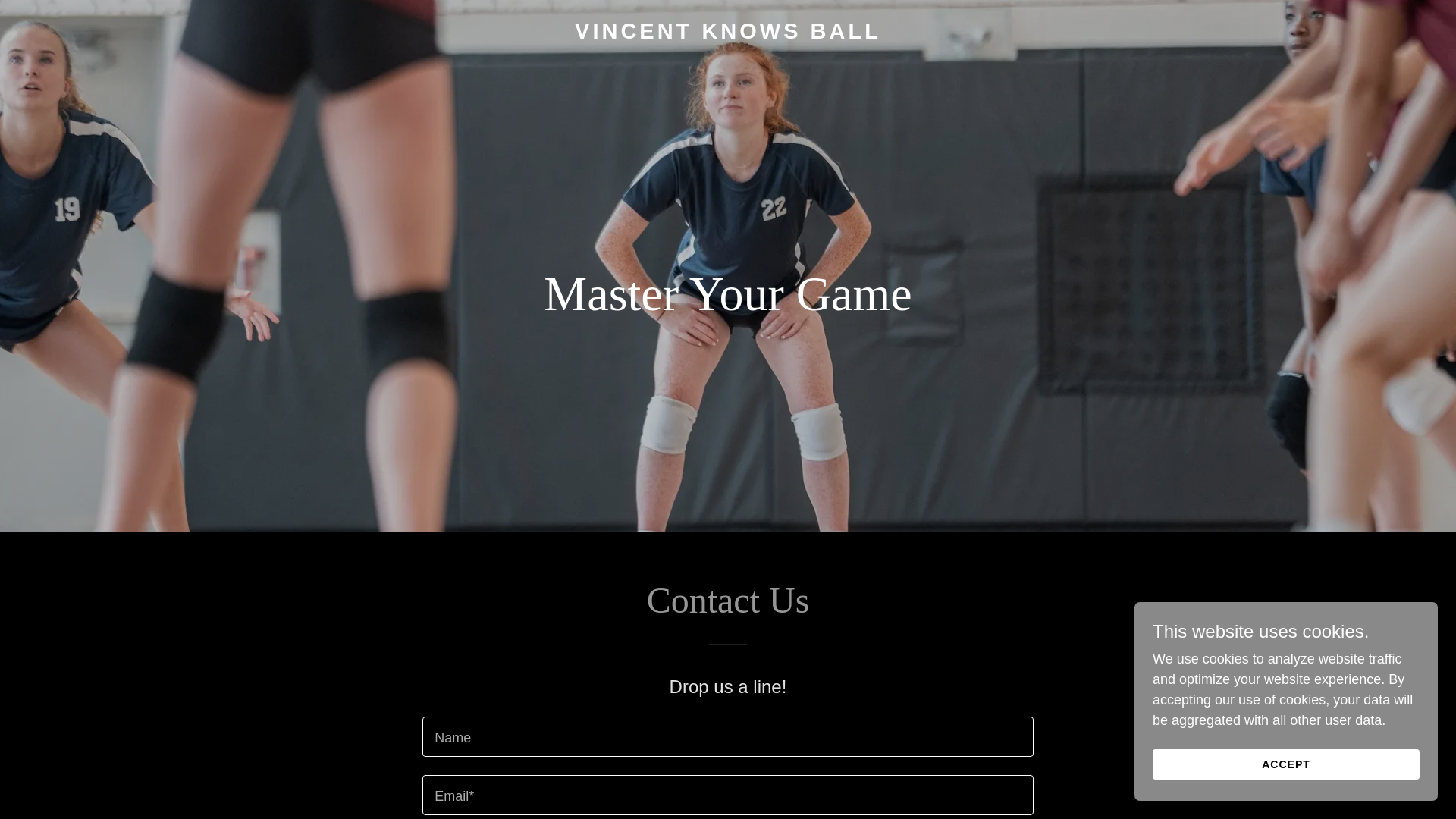 website screenshot of https://vincentknowsball.com/