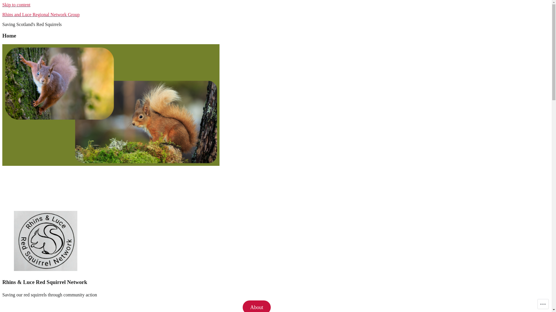 website screenshot of https://rhinslucesquirrelnetwork.org/