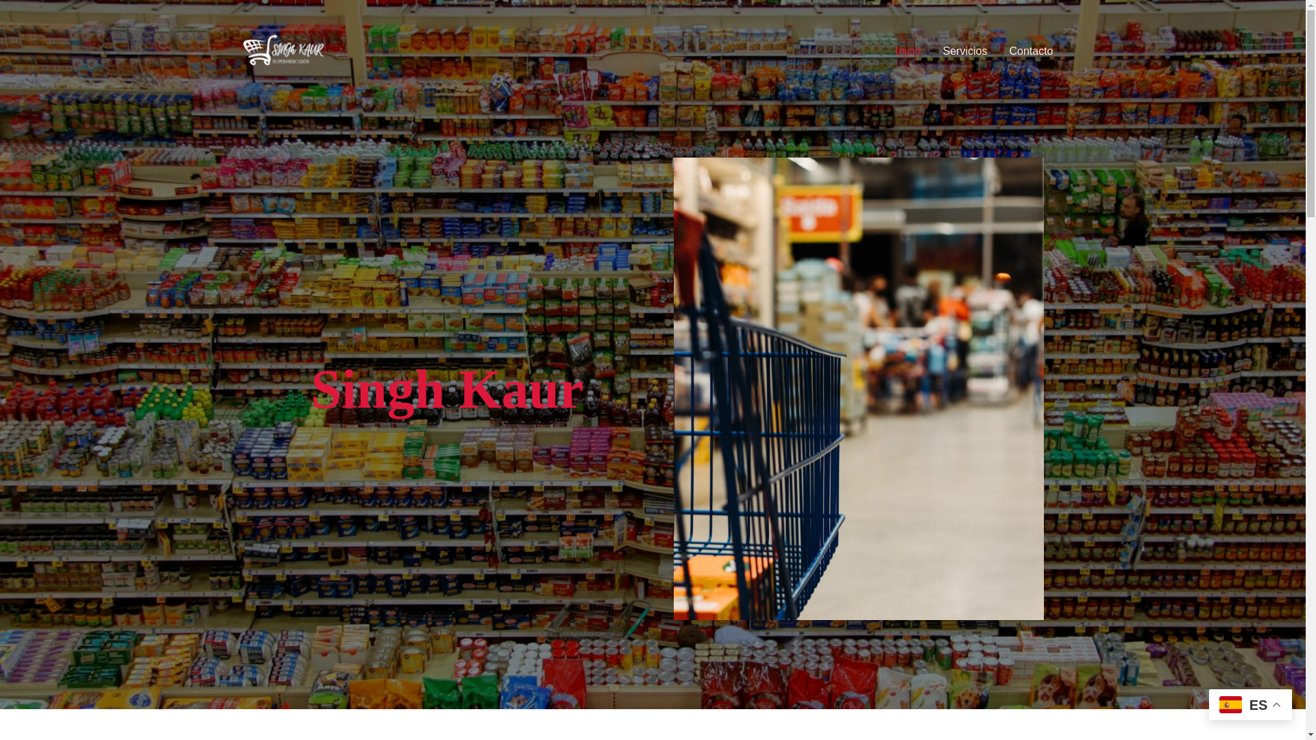 website screenshot of https://supermercadossinghkaur.es/
