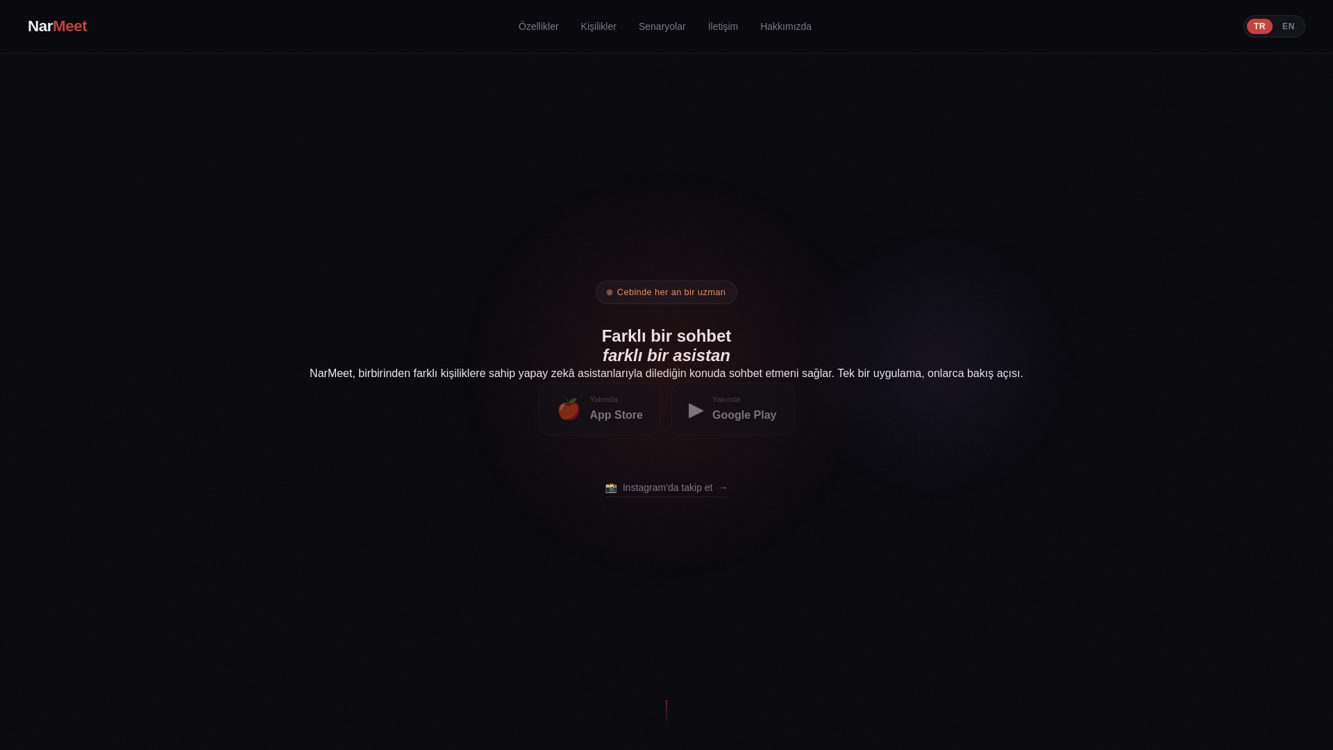 website screenshot of https://narmeet.com