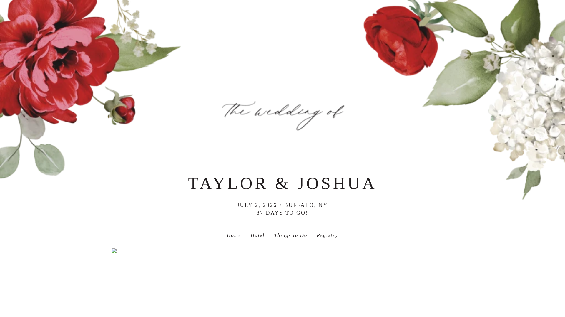 website screenshot of https://thefuturevanvessems.com