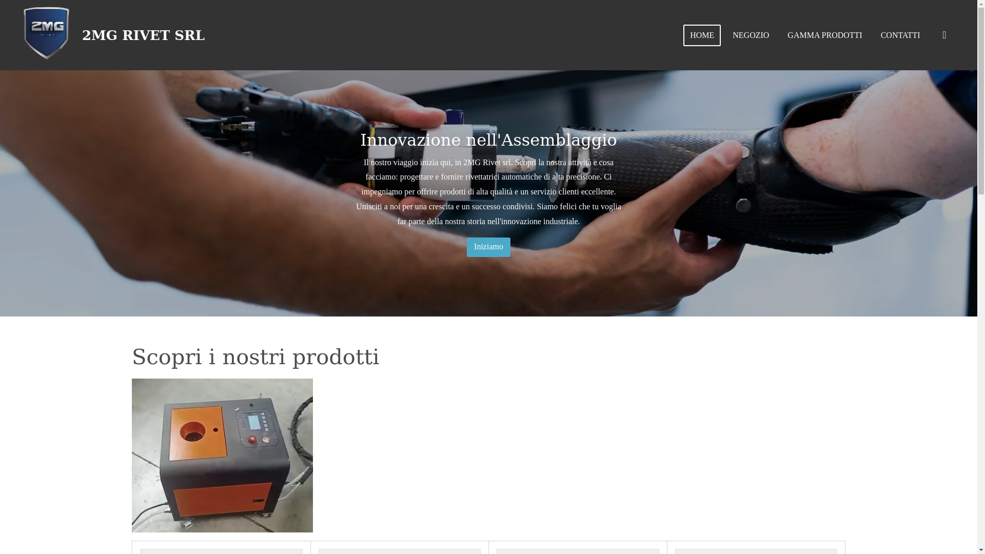 website screenshot of https://2mg-rivet.com/