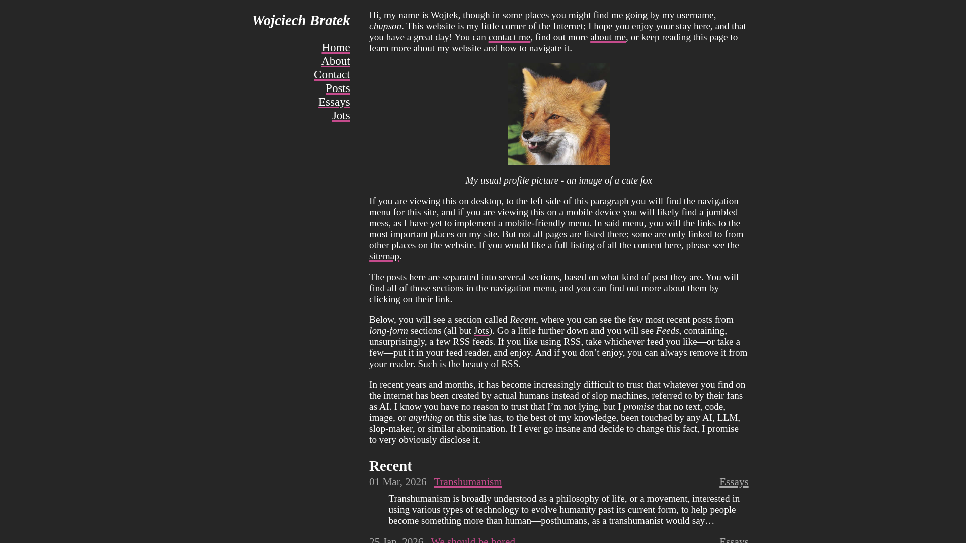 website screenshot of https://wojtek.bratek.org/