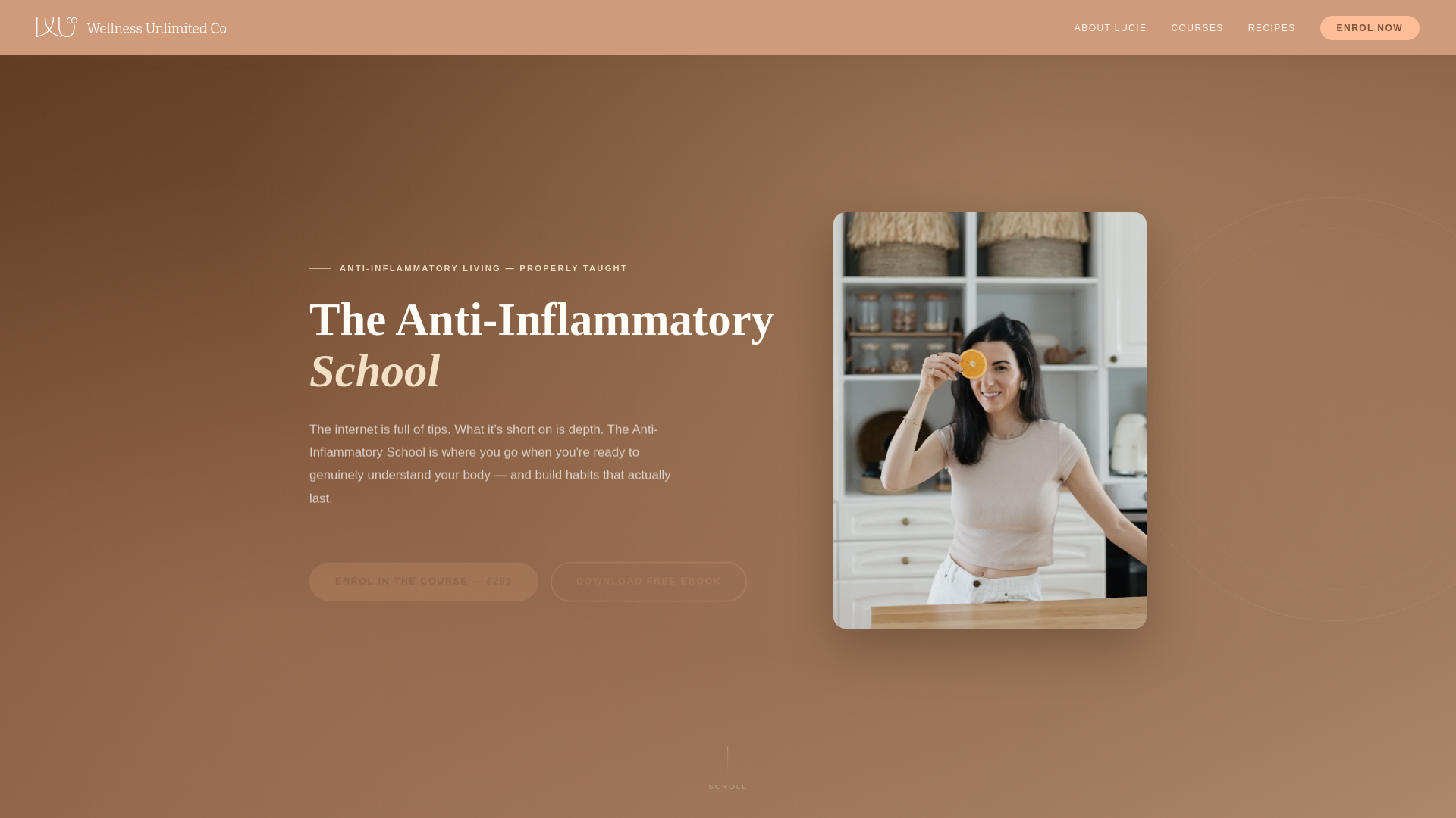 website screenshot of https://antiinflammatoryschool.pages.dev/