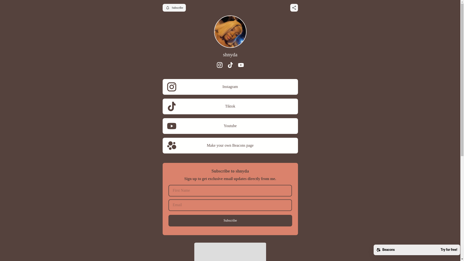 website screenshot of https://shnyda.com/