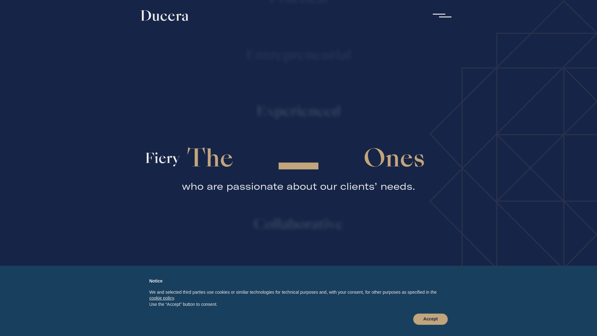 website screenshot of https://ducera-partner.com/