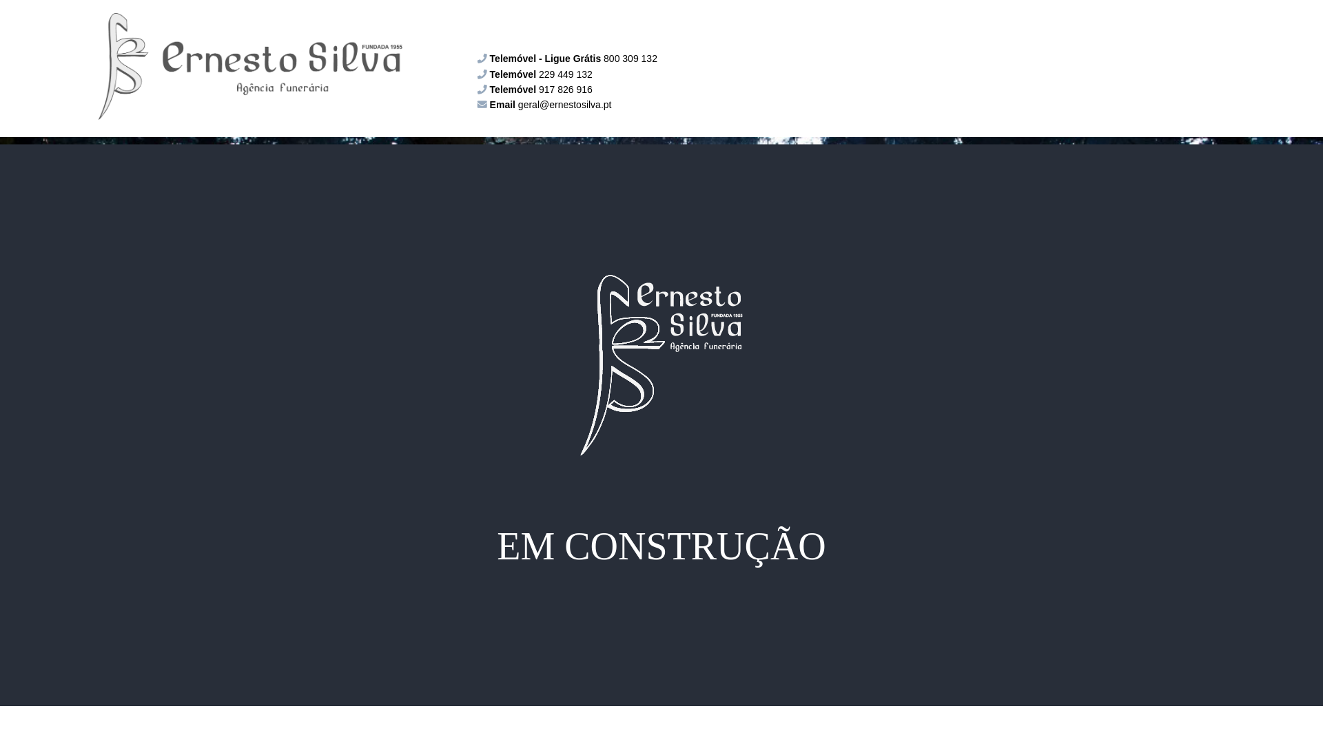 website screenshot of https://ernestosilva.pt
