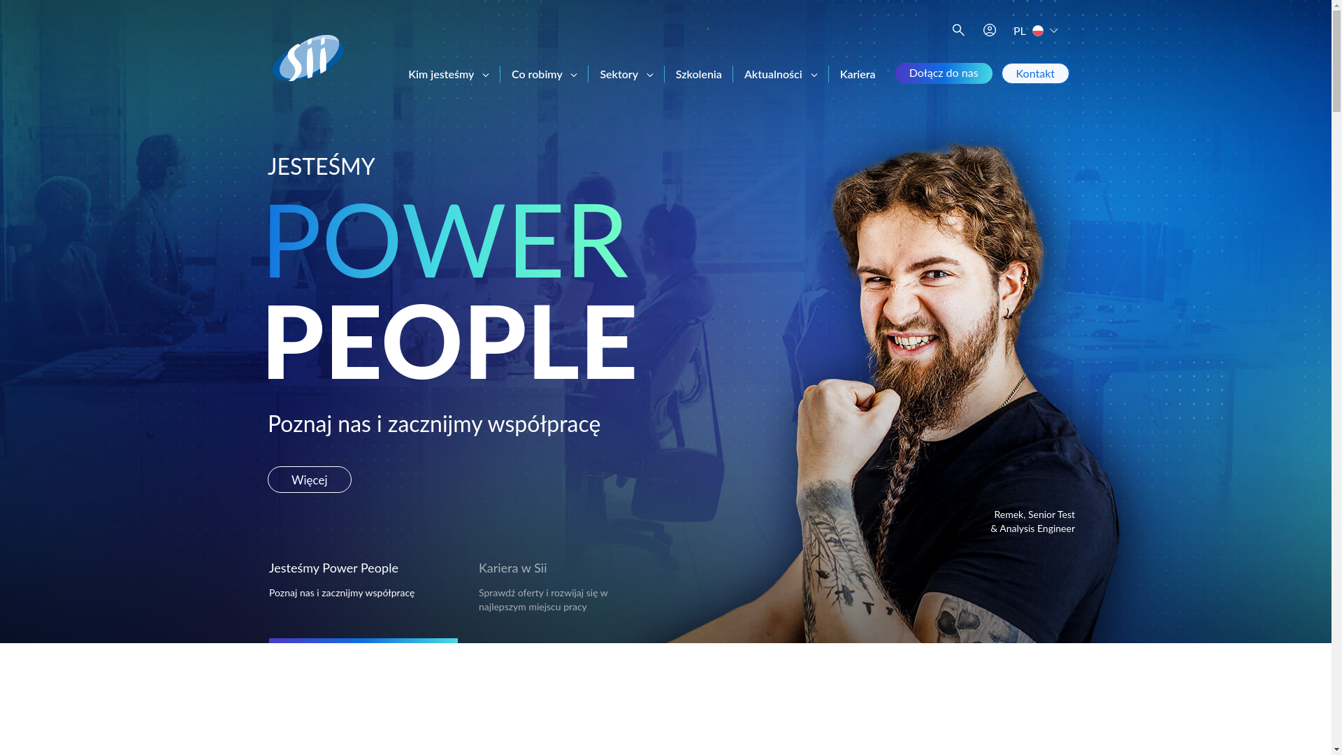website screenshot of https://sii.pl/