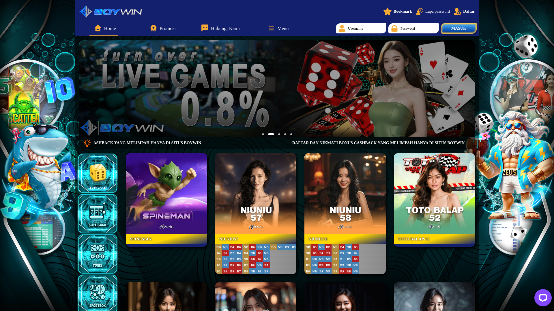 website screenshot of https://boywinrate.com/