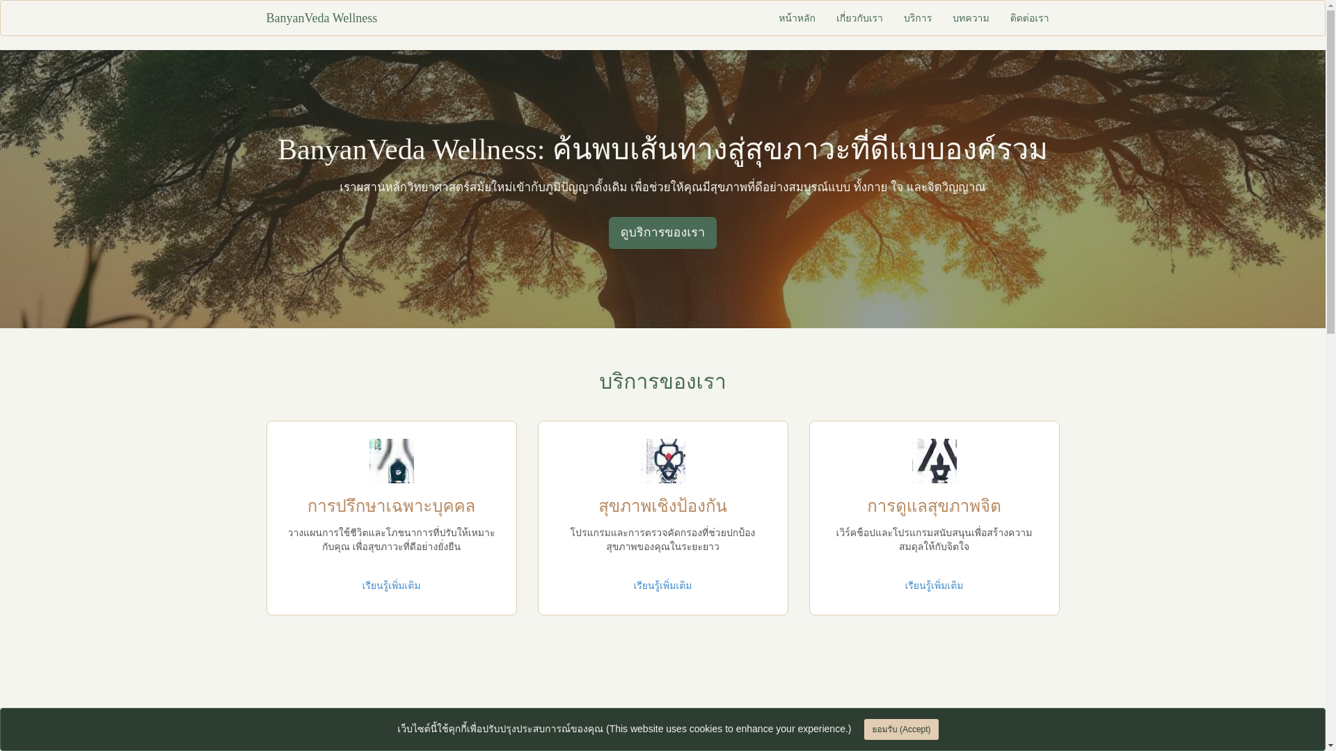 website screenshot of https://banyanvedawellnessc.com/