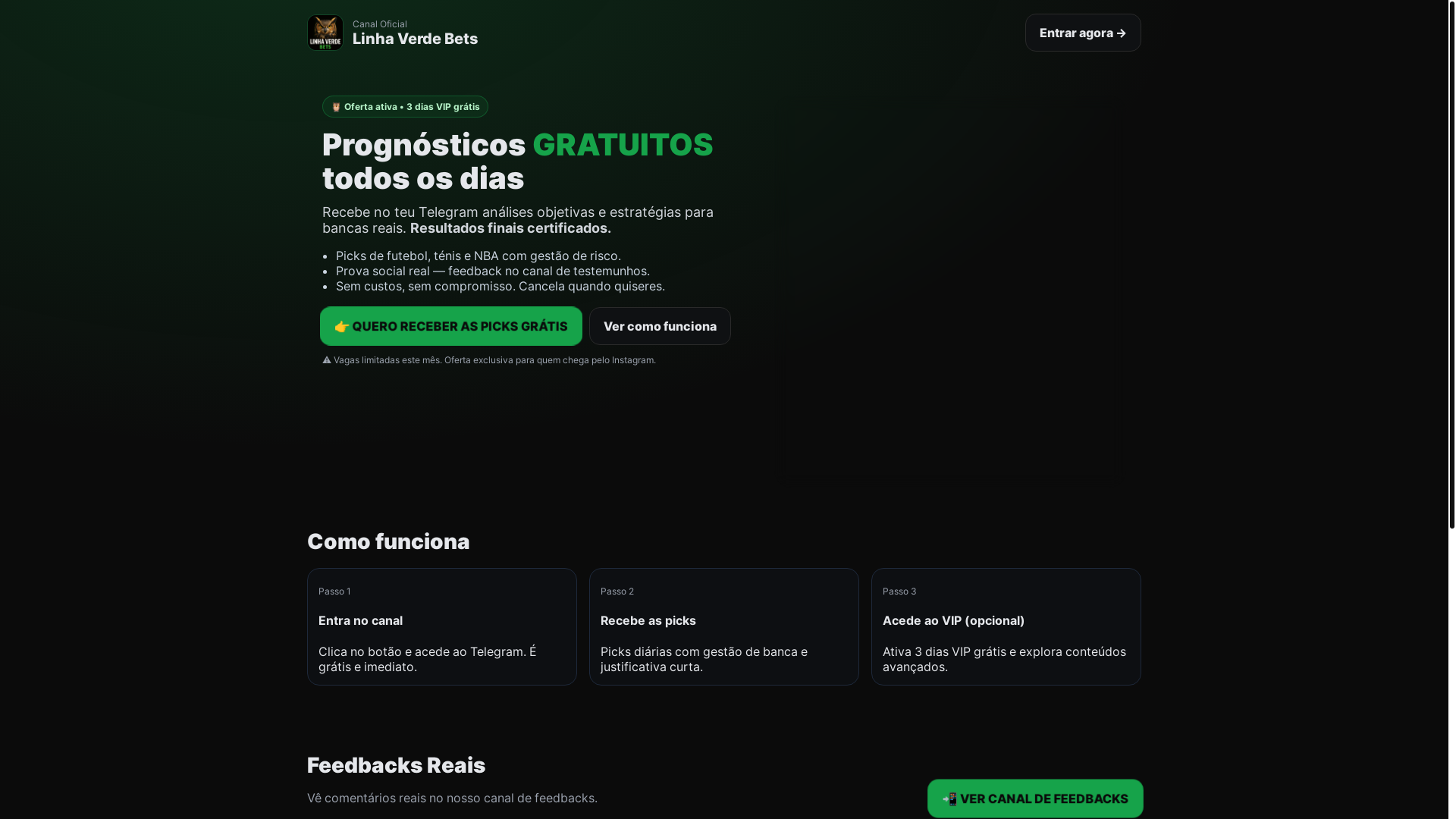 website screenshot of https://linhaverdebets.com/