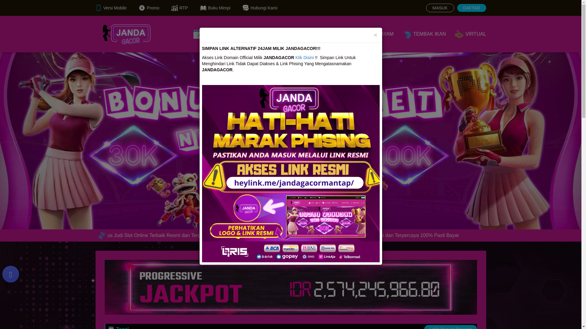 website screenshot of https://jandagacor88.site/