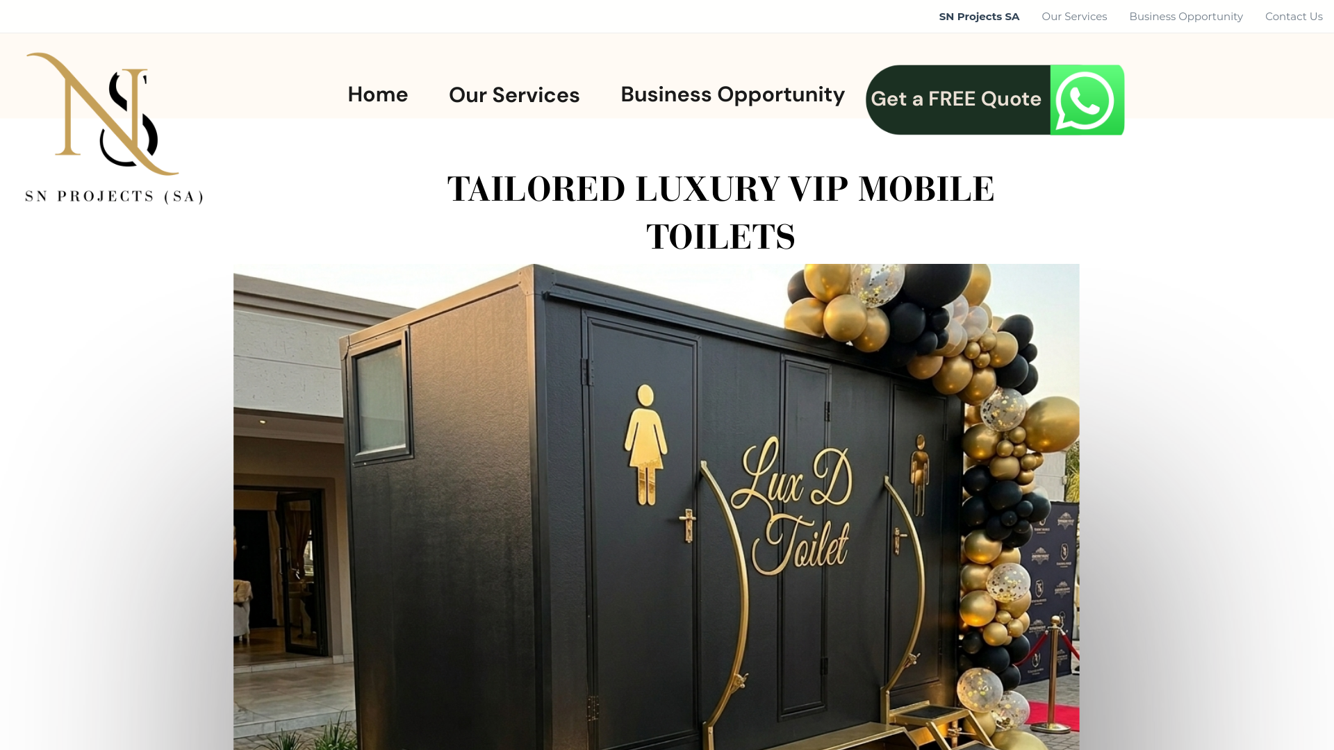 website screenshot of https://snprojectsa.co.za/