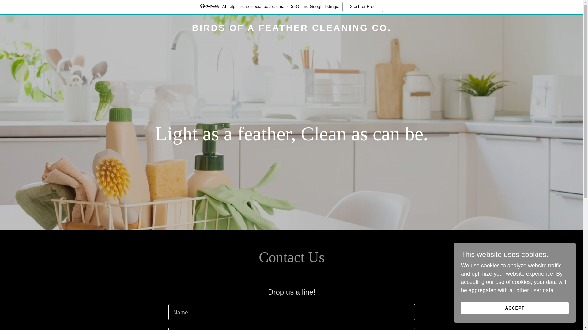 website screenshot of https://feathercleaned.com/