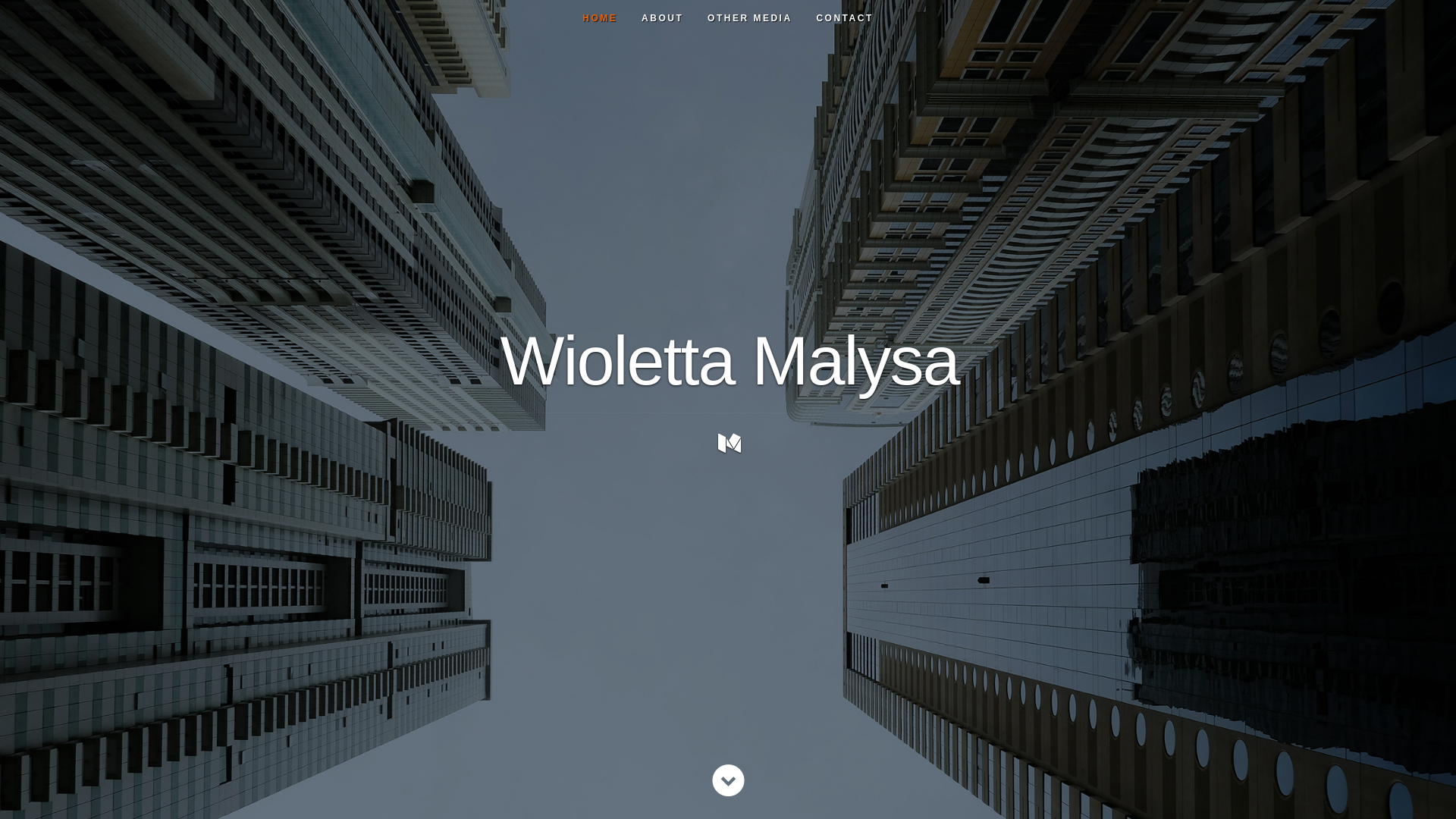 website screenshot of https://wioletta-malysa.com/