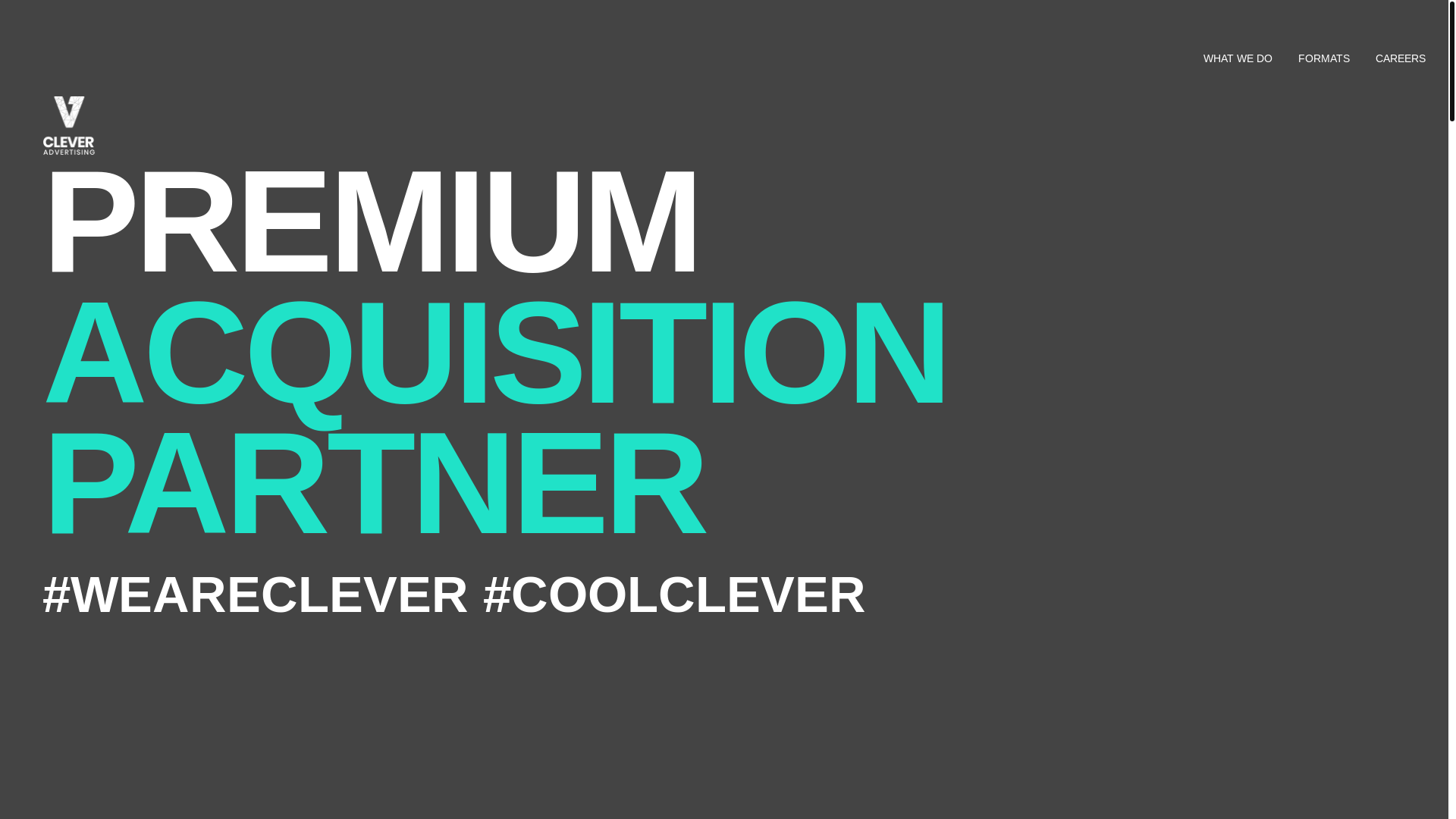 website screenshot of https://cleverwebserver.com