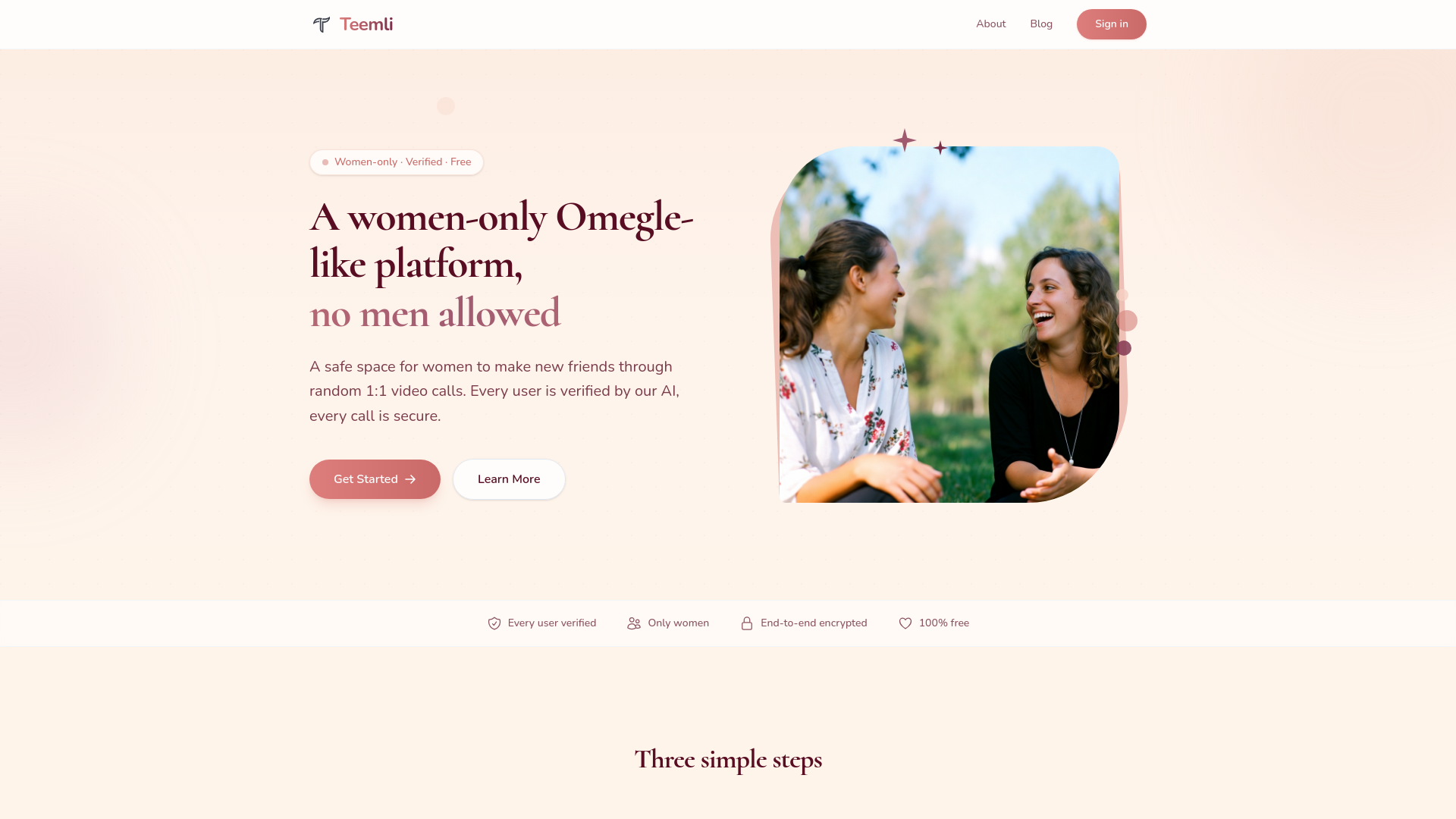 website screenshot of https://teemli.pages.dev/