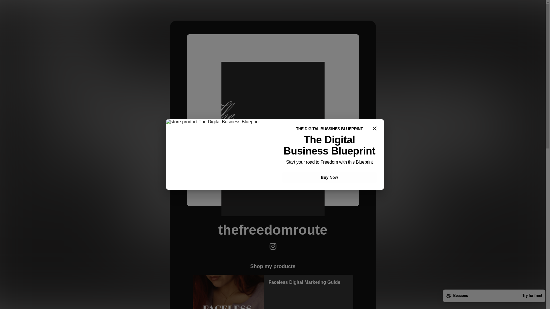 website screenshot of https://thefreedomroute.store/