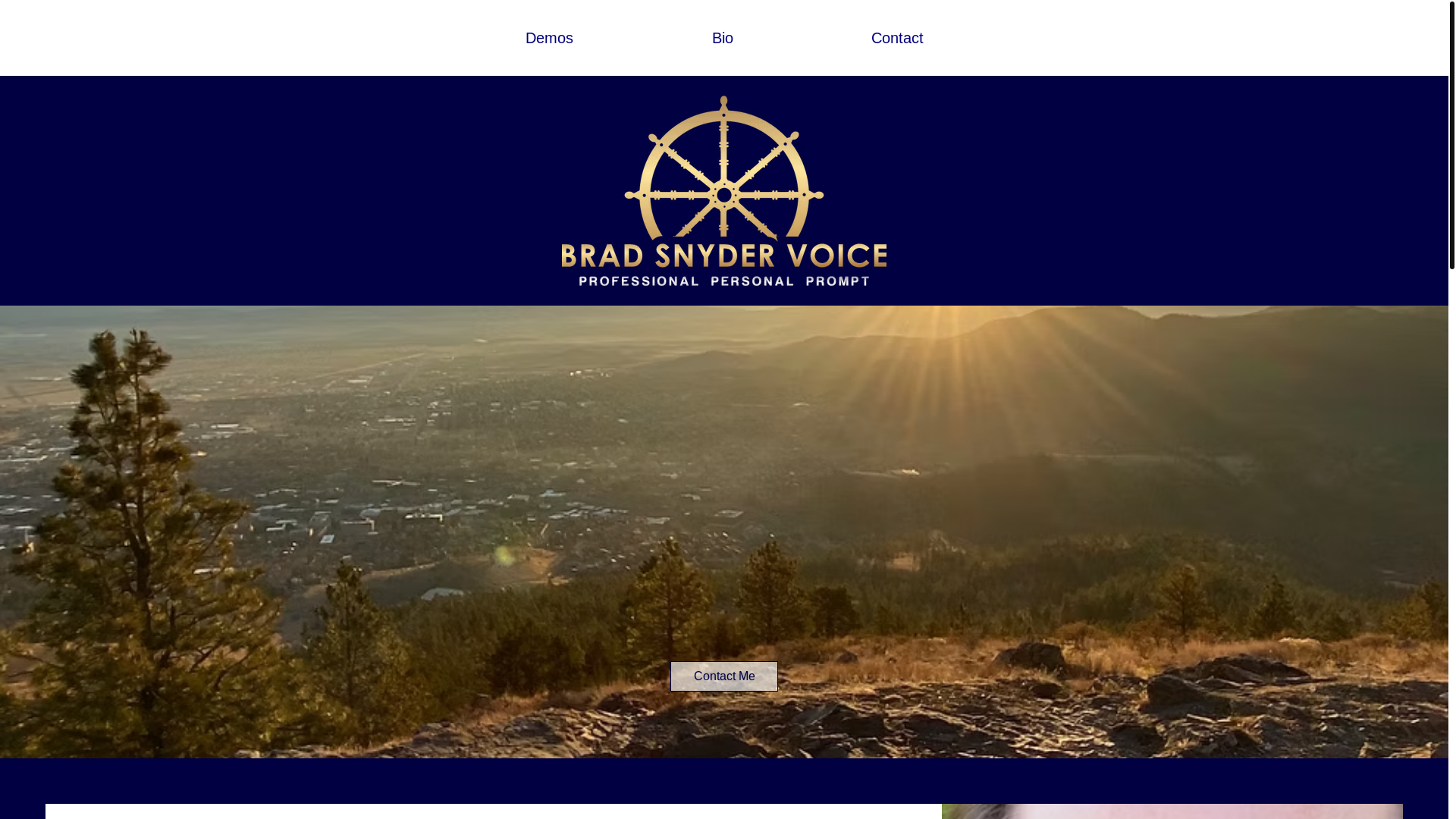 website screenshot of https://bradsnydervoice.com/
