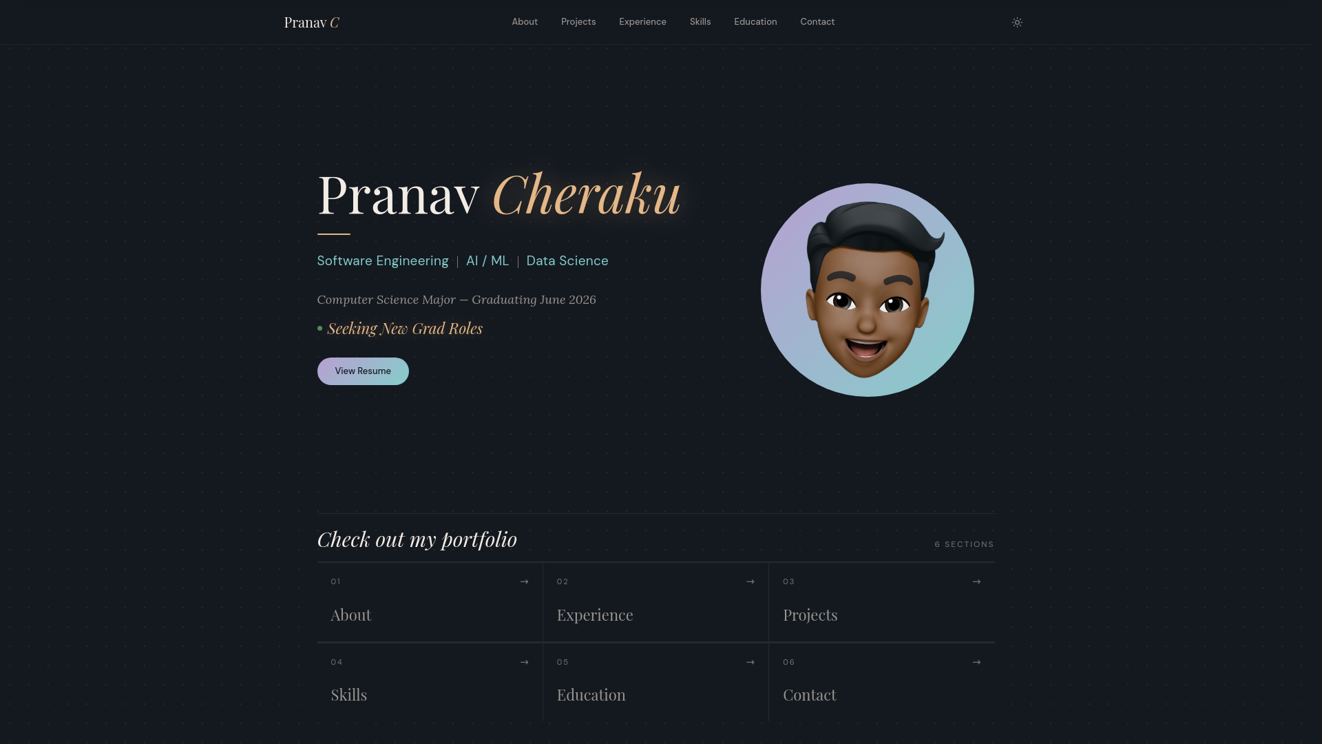 website screenshot of https://pranavcheraku.com/