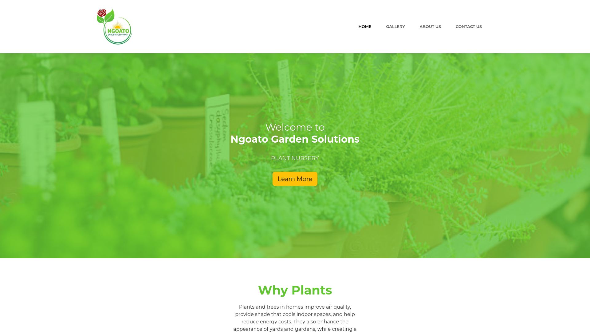 website screenshot of https://ngoatogardensolutions.co.za/