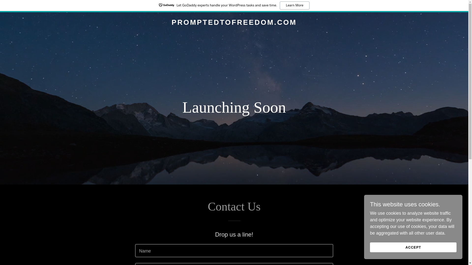 website screenshot of https://promptedtofreedom.com/