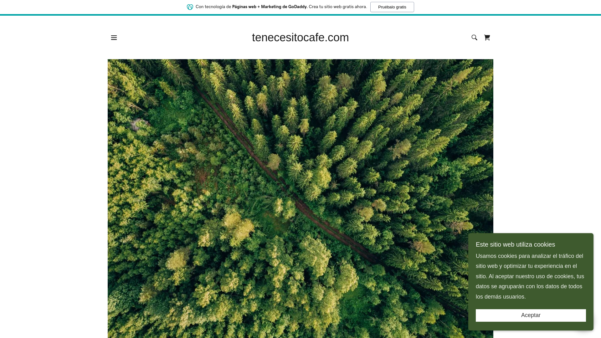 website screenshot of https://tenecesitocafe.com